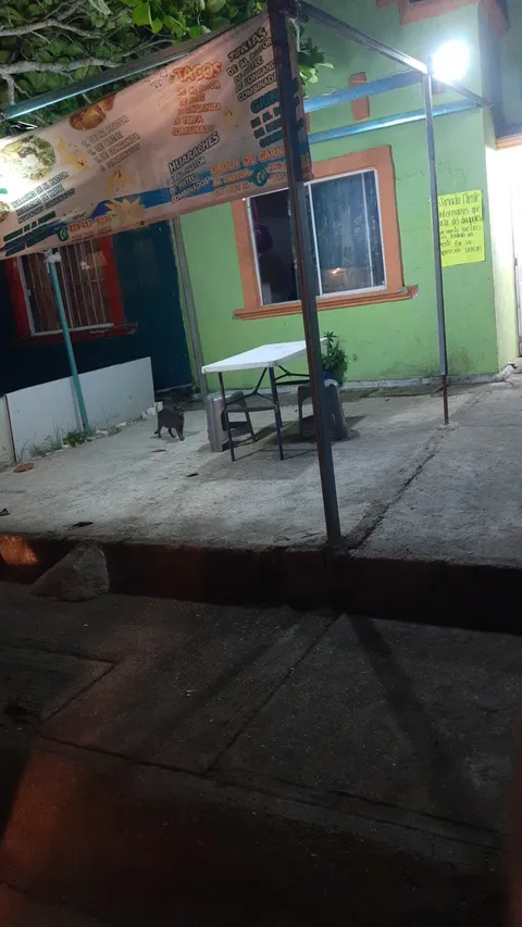 El Rey del Taco image 7