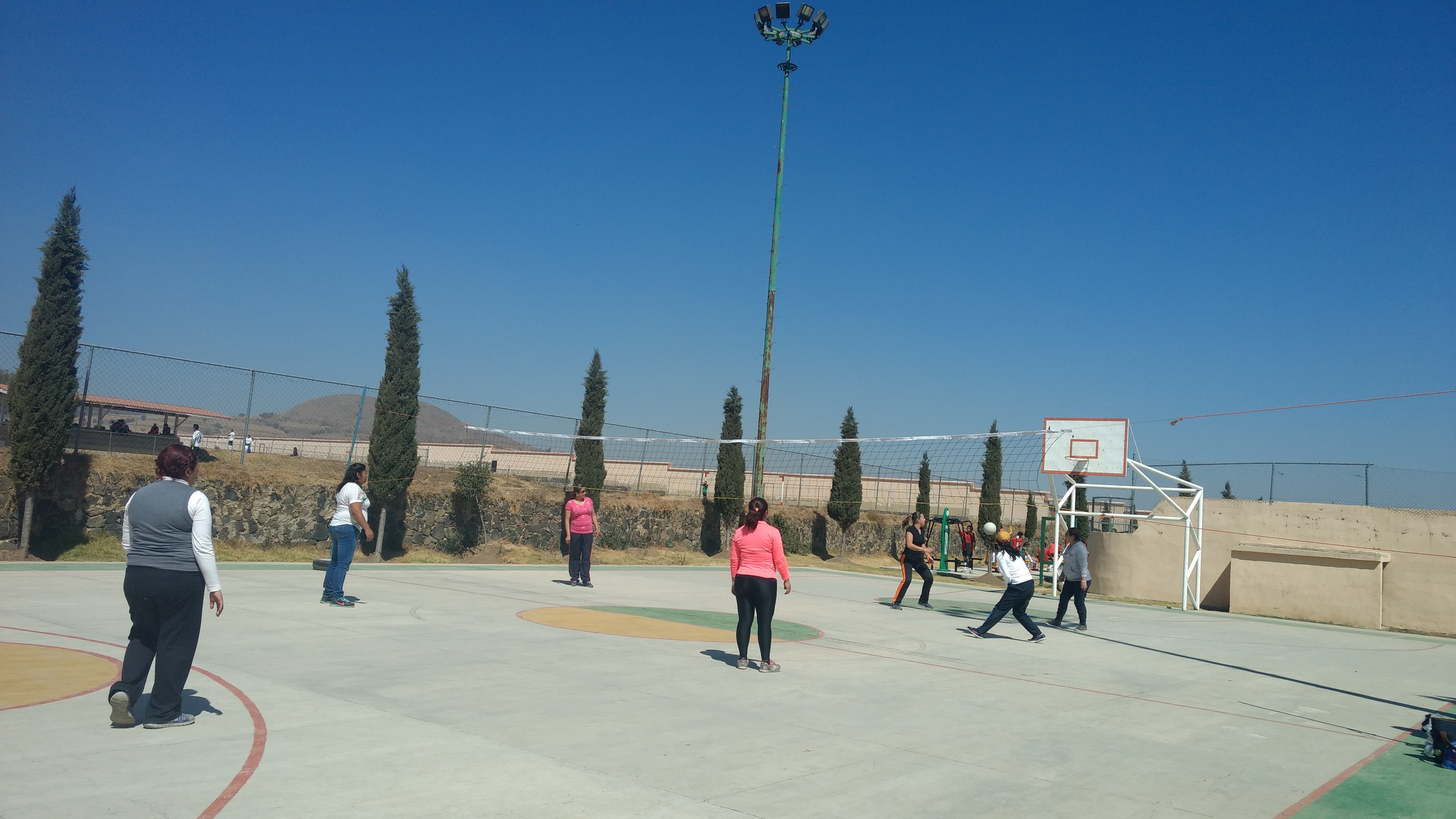 marisqueria el crucero image 6