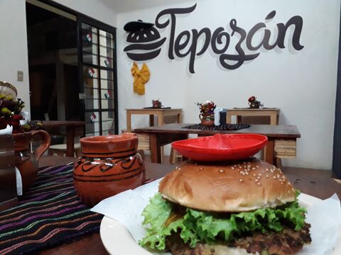 El Tepozán Juchitepec image 6