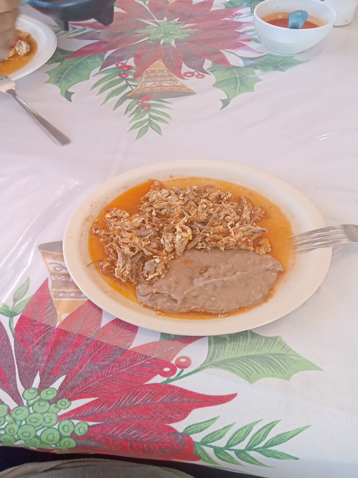 Fonda Las Morenas image 7