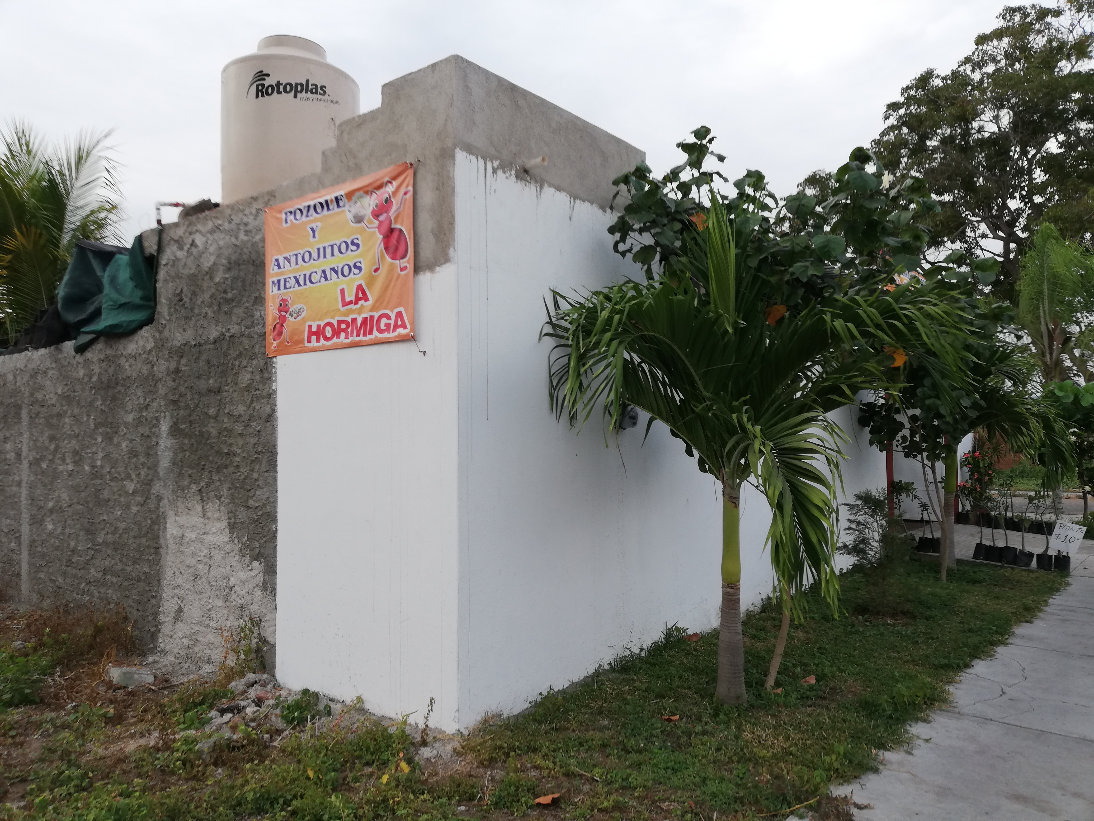 La hormiguita pozole y antojitos image 10