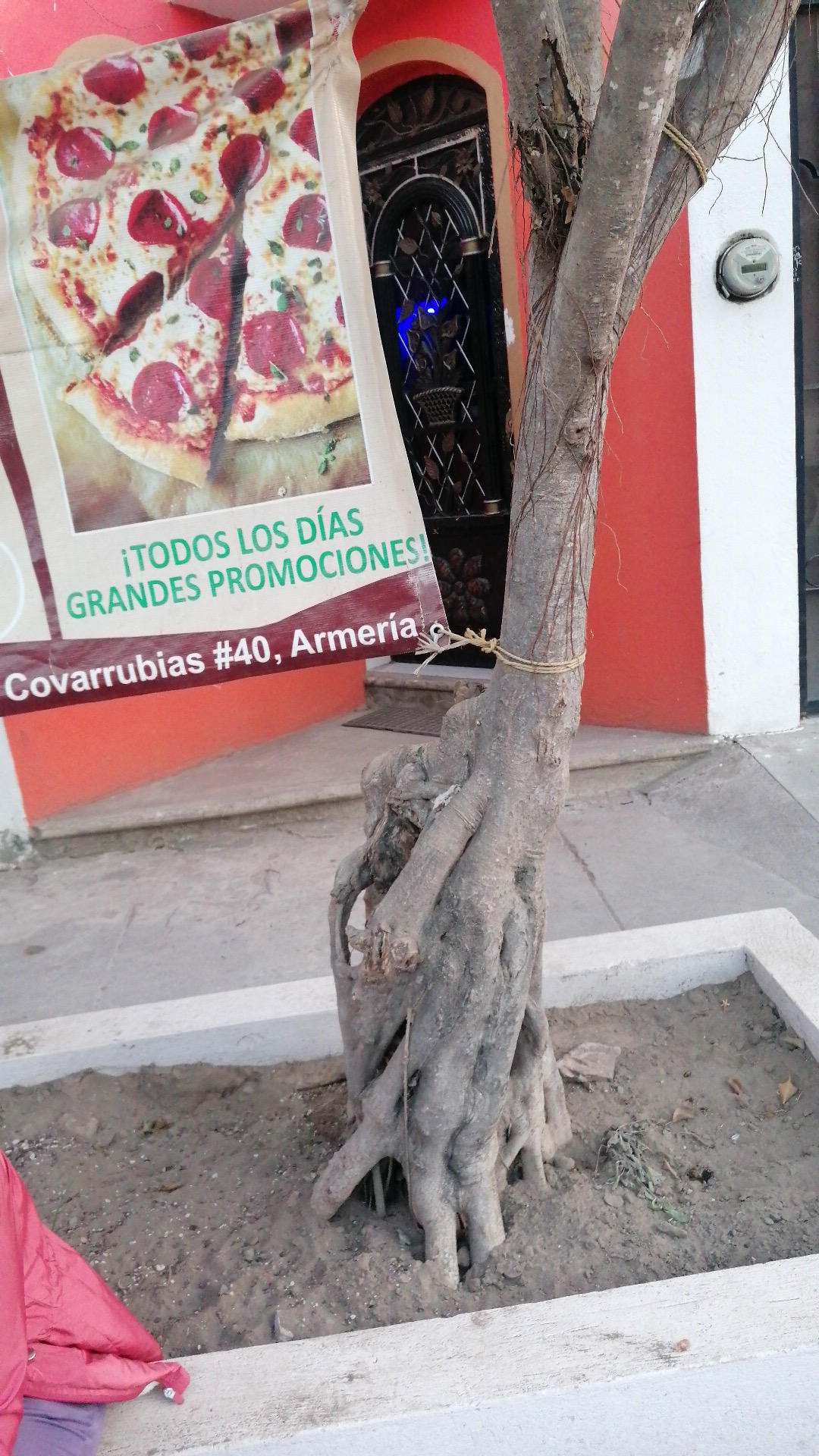 Ristorante "Pizzas Cotta" image 2