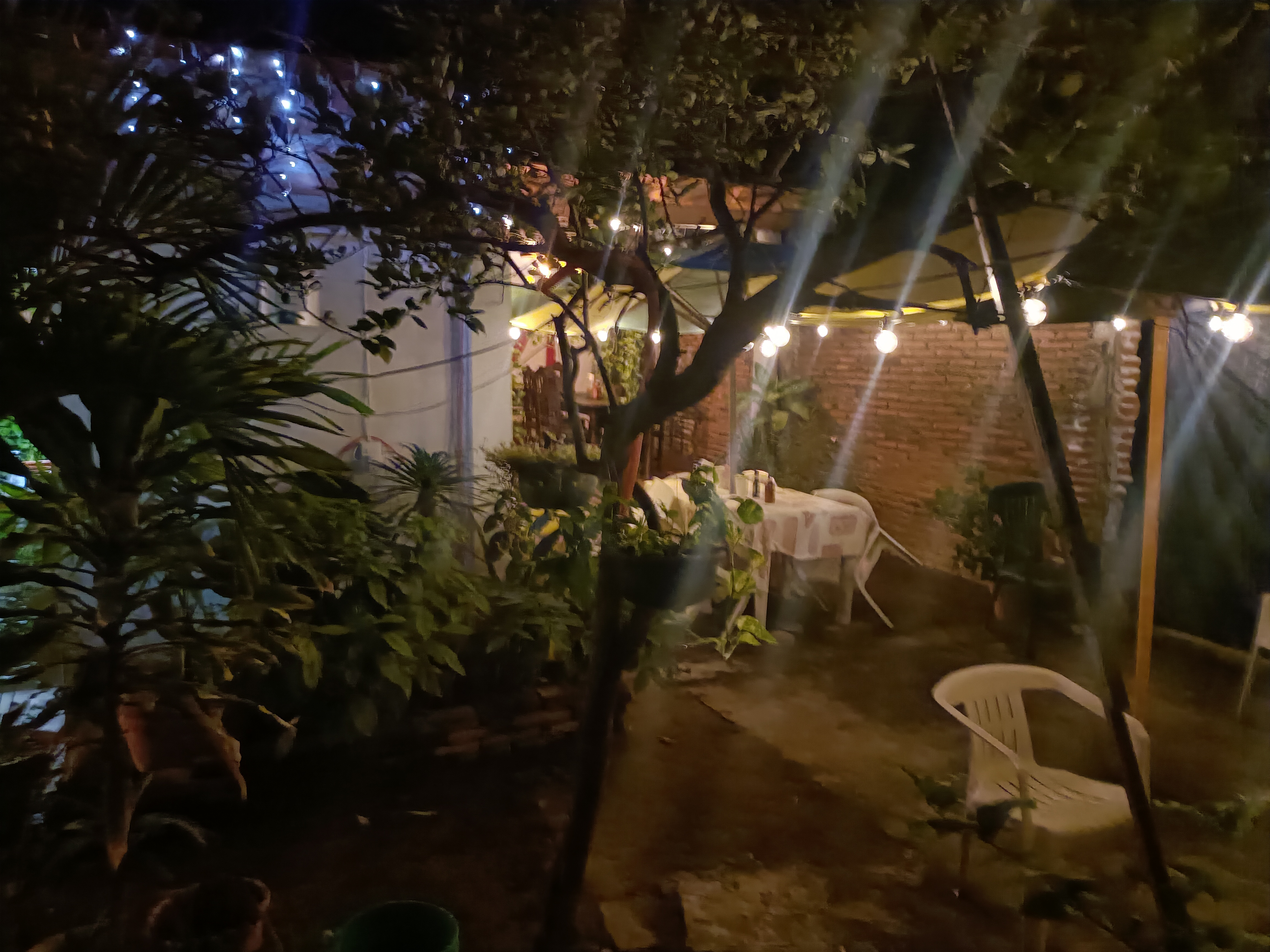 Beto y Fredy image 4