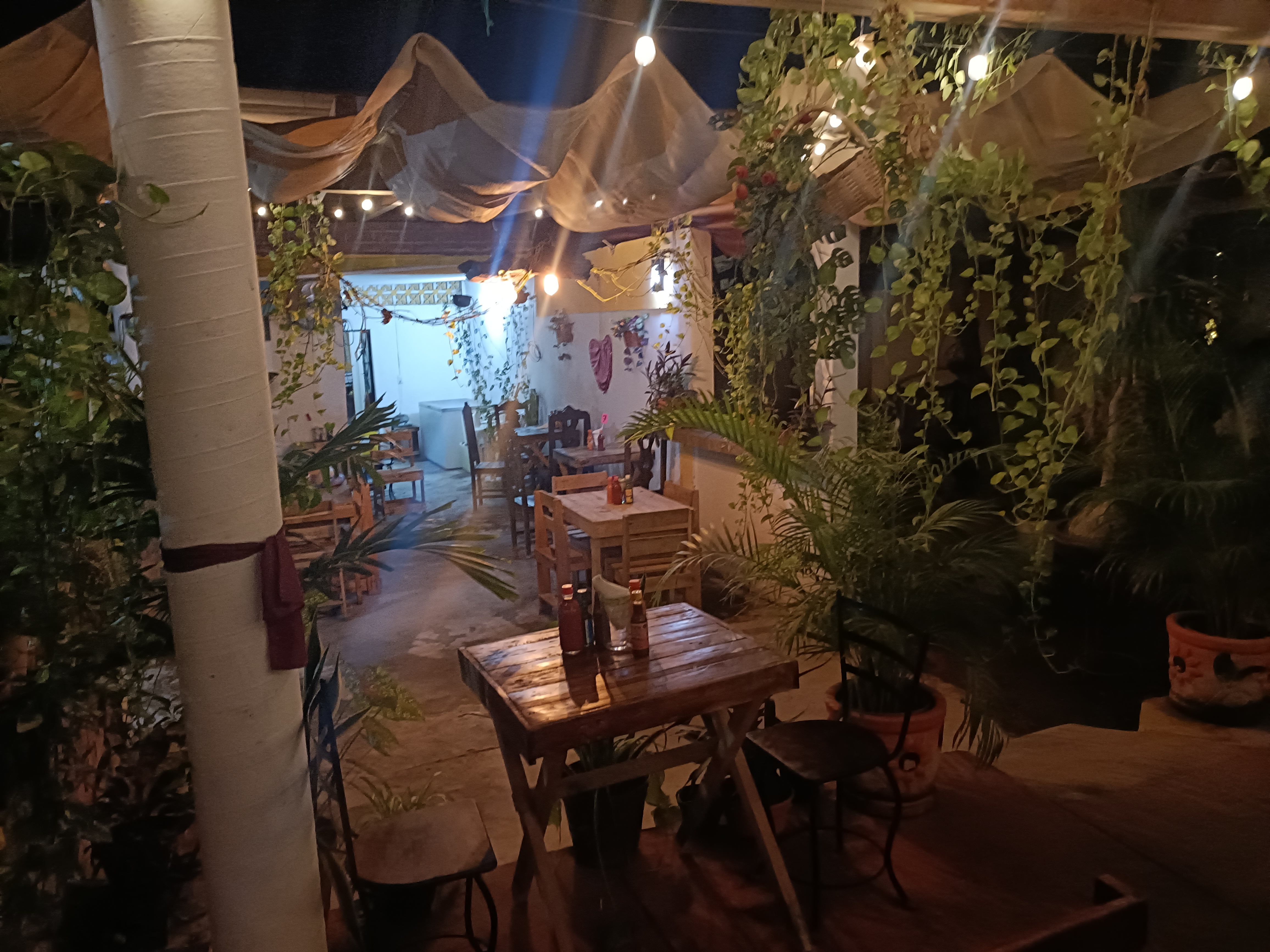 Beto y Fredy image 8