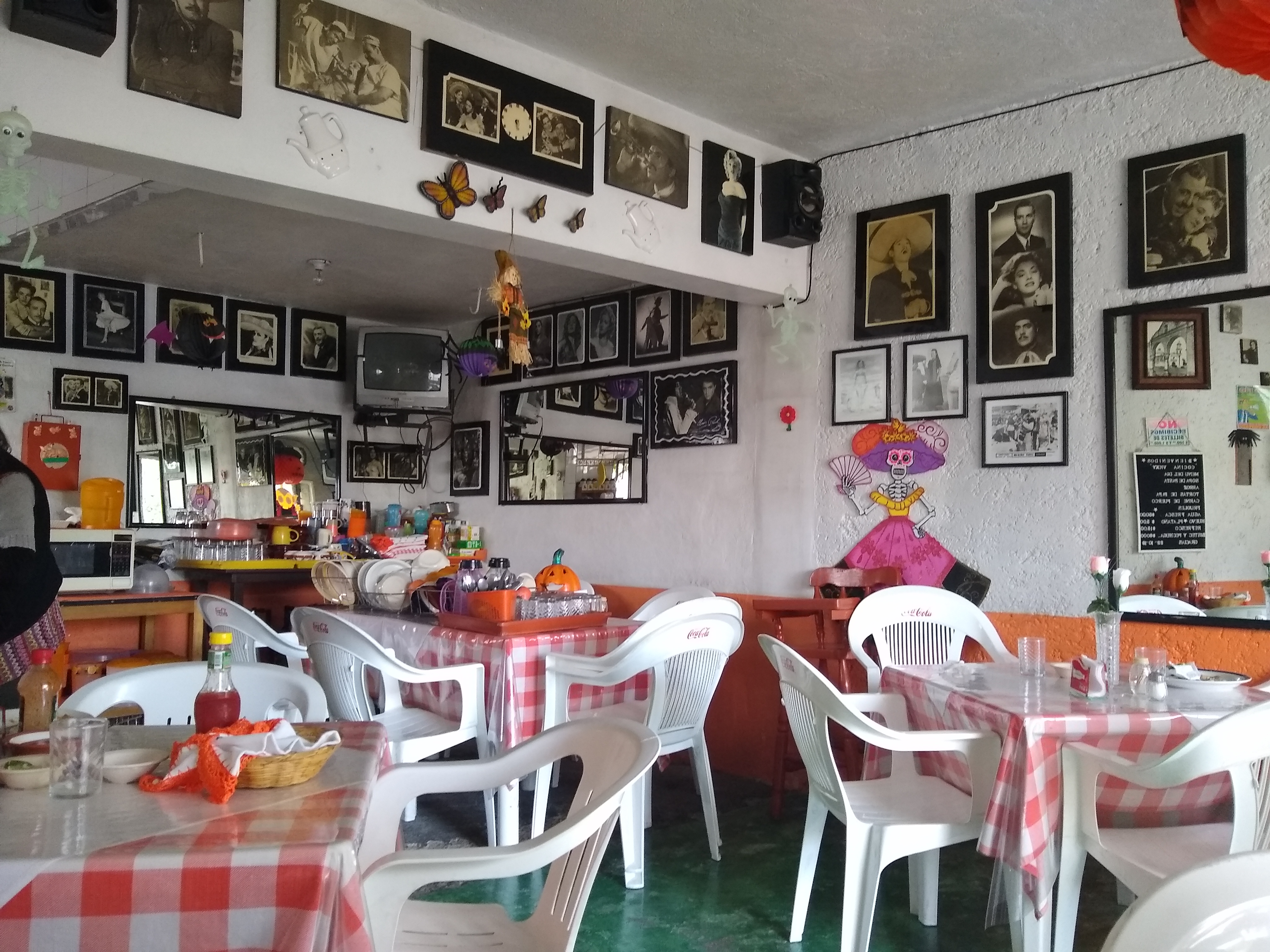 Cocina Económica Pequeña Vicky image 1