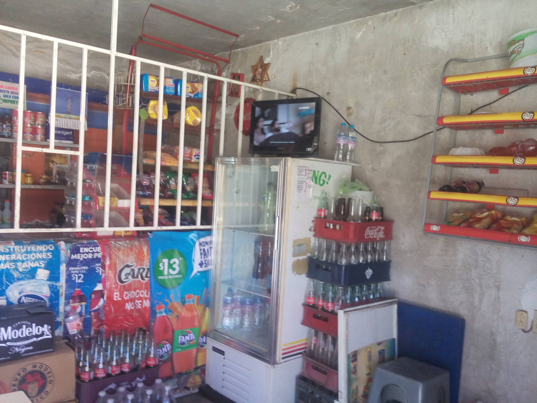 Tortas Wilbert image 7