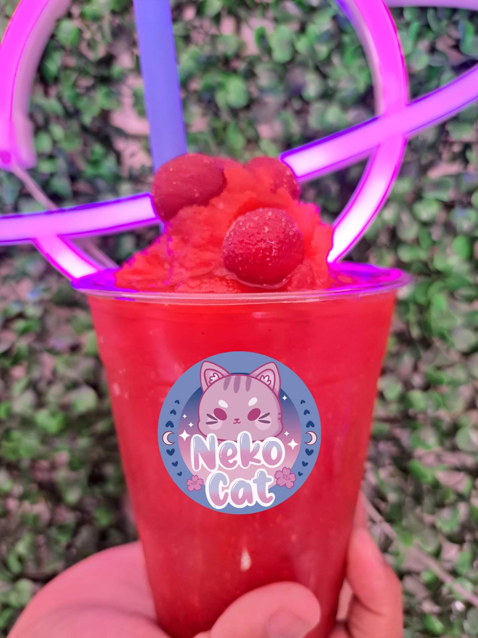 NekoCat Kpop Coffee image 1