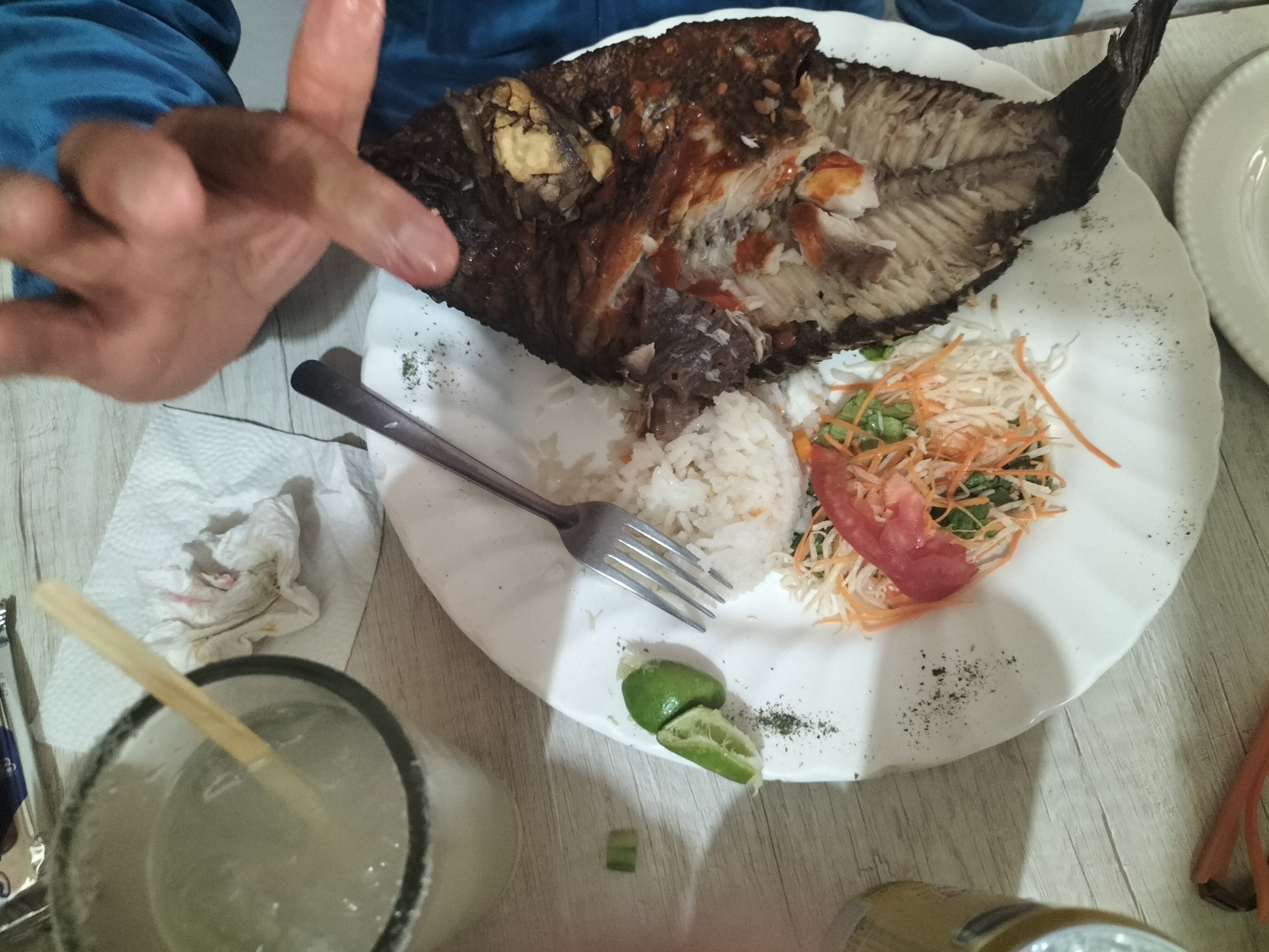 Sinaloa Fish image 7