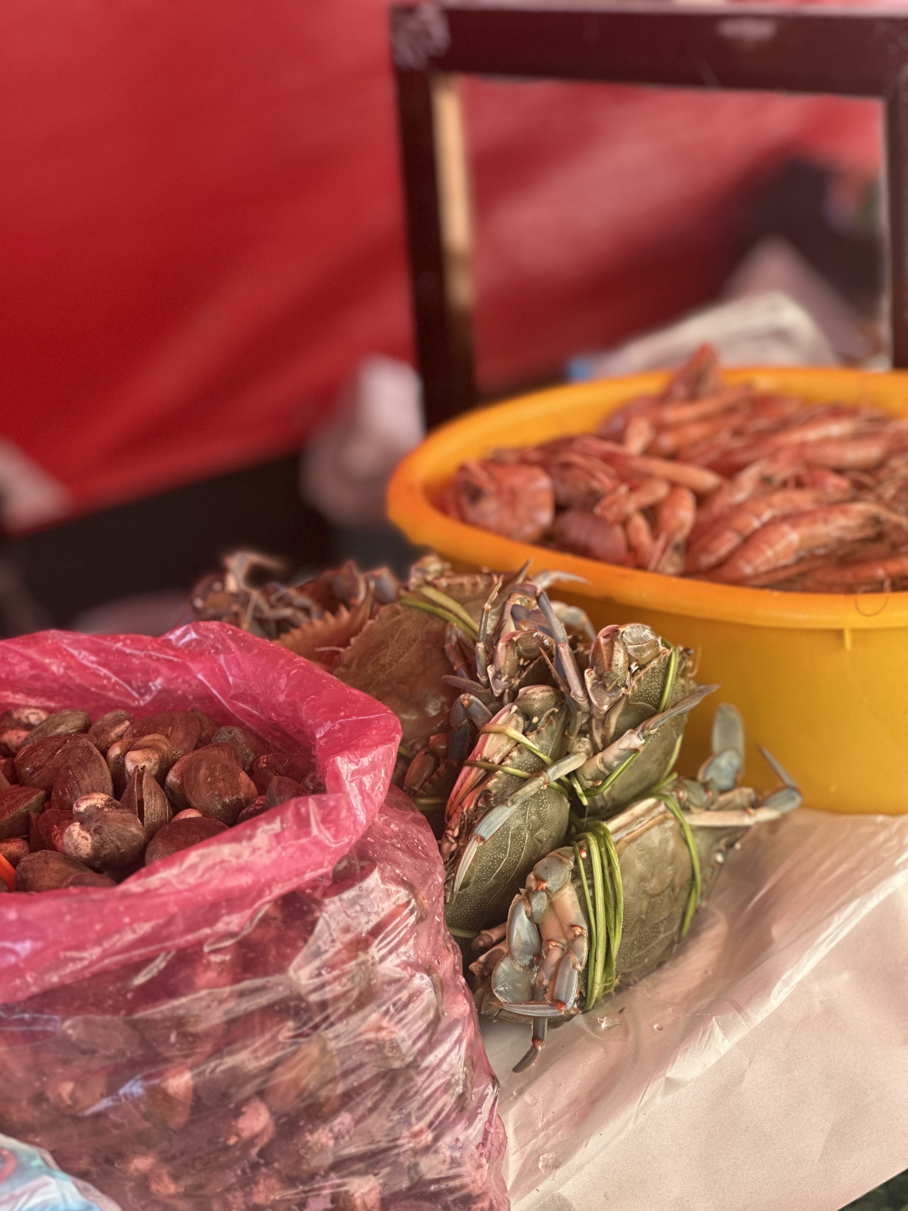 Pescados y mariscos “Pedro el escamoso” image 2