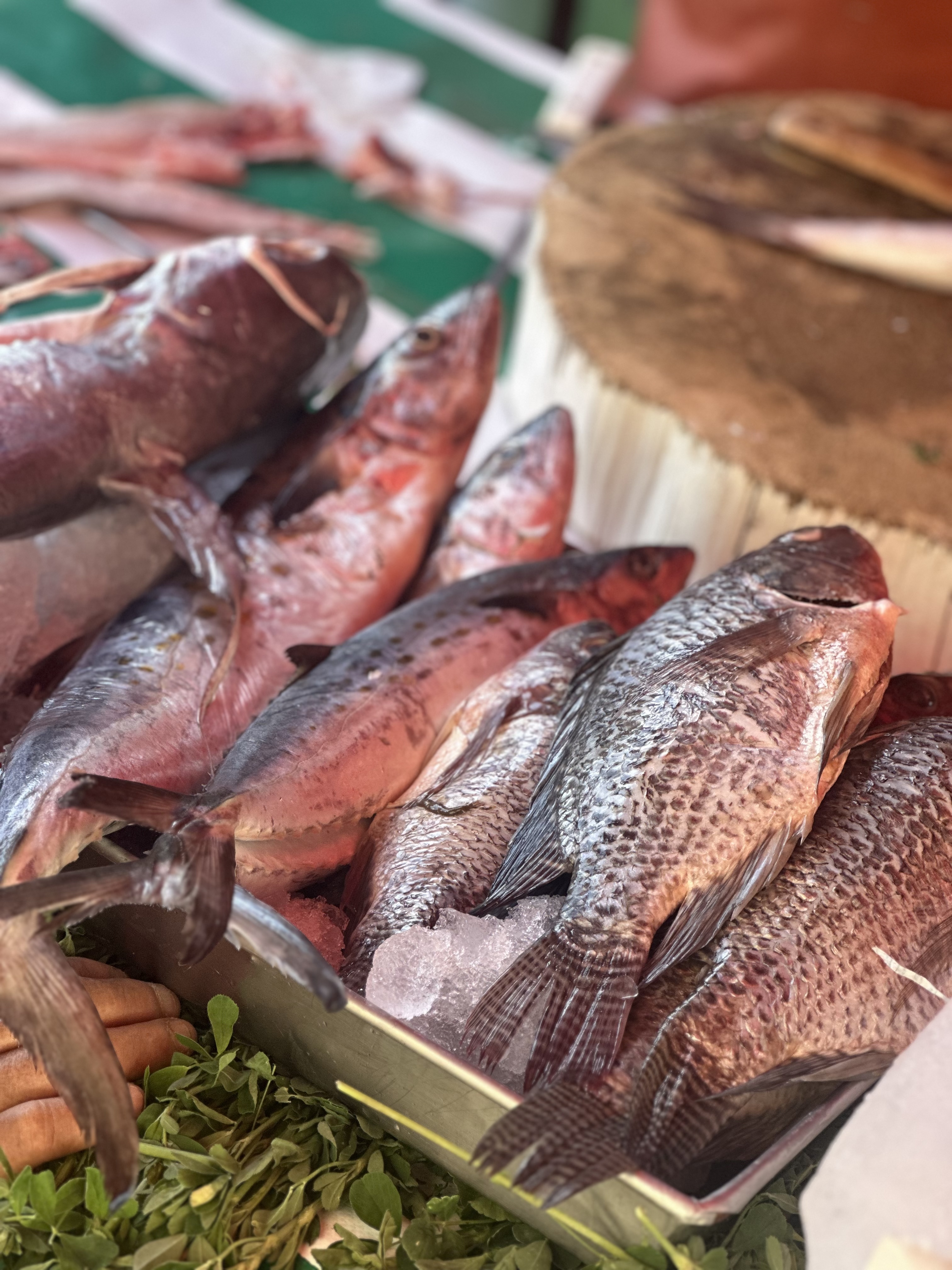 Pescados y mariscos “Pedro el escamoso” image 4