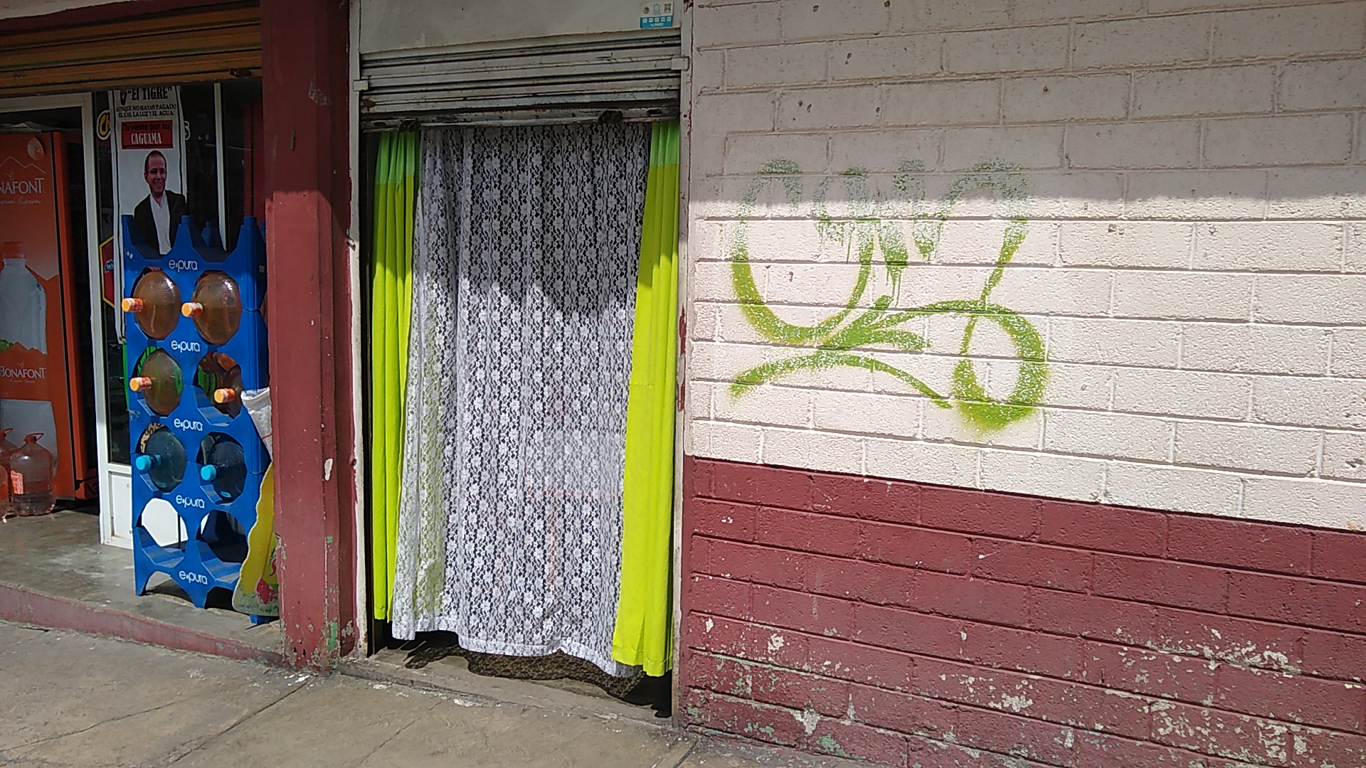 Club de nutrición DElFINA URBANO image 2