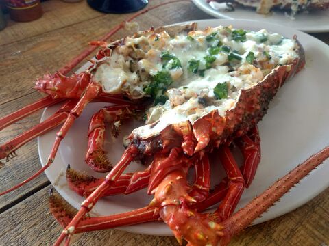 Mariscos Nolasco image 2