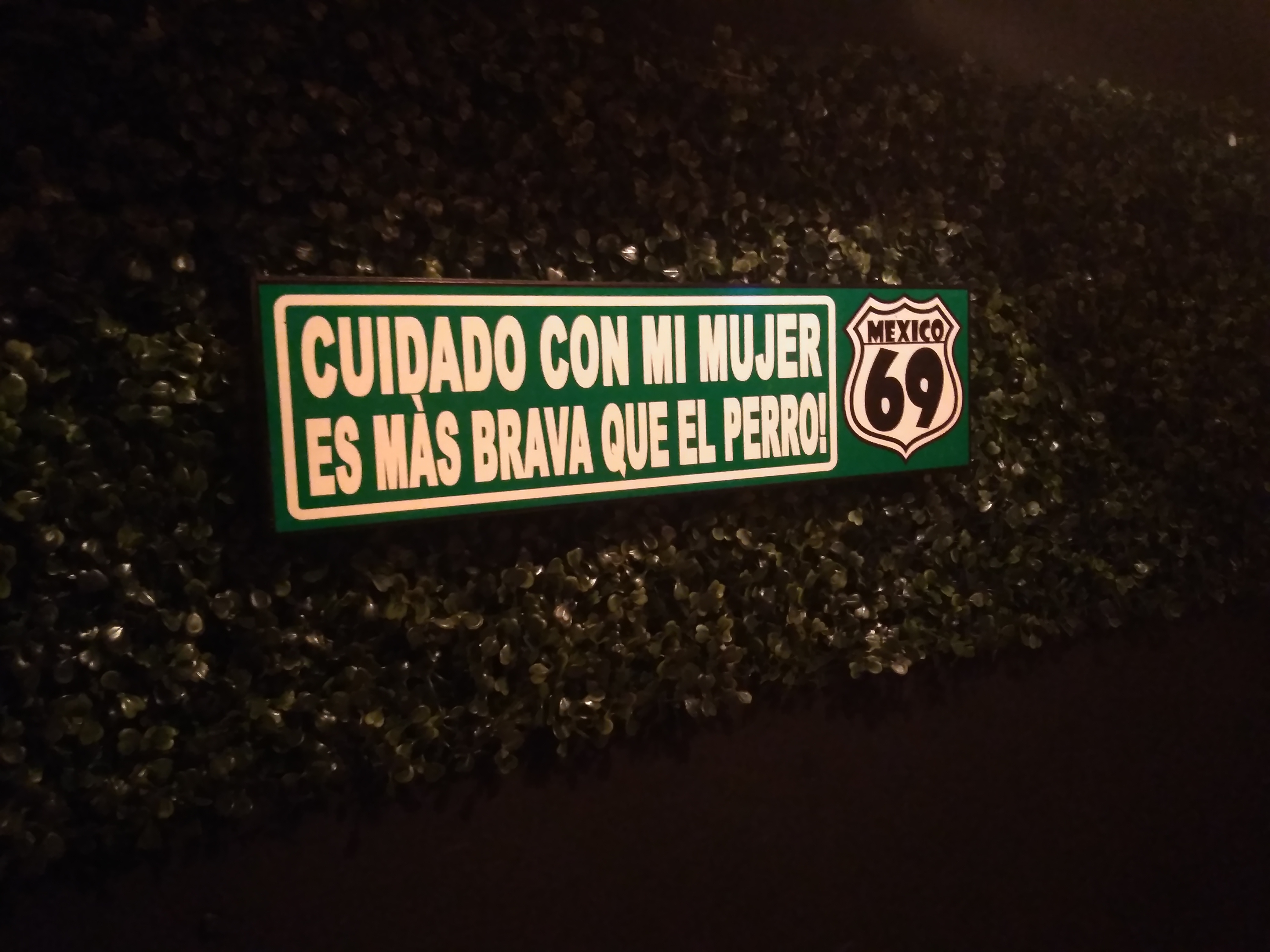 LA TAMALERIA DE MARY image 4