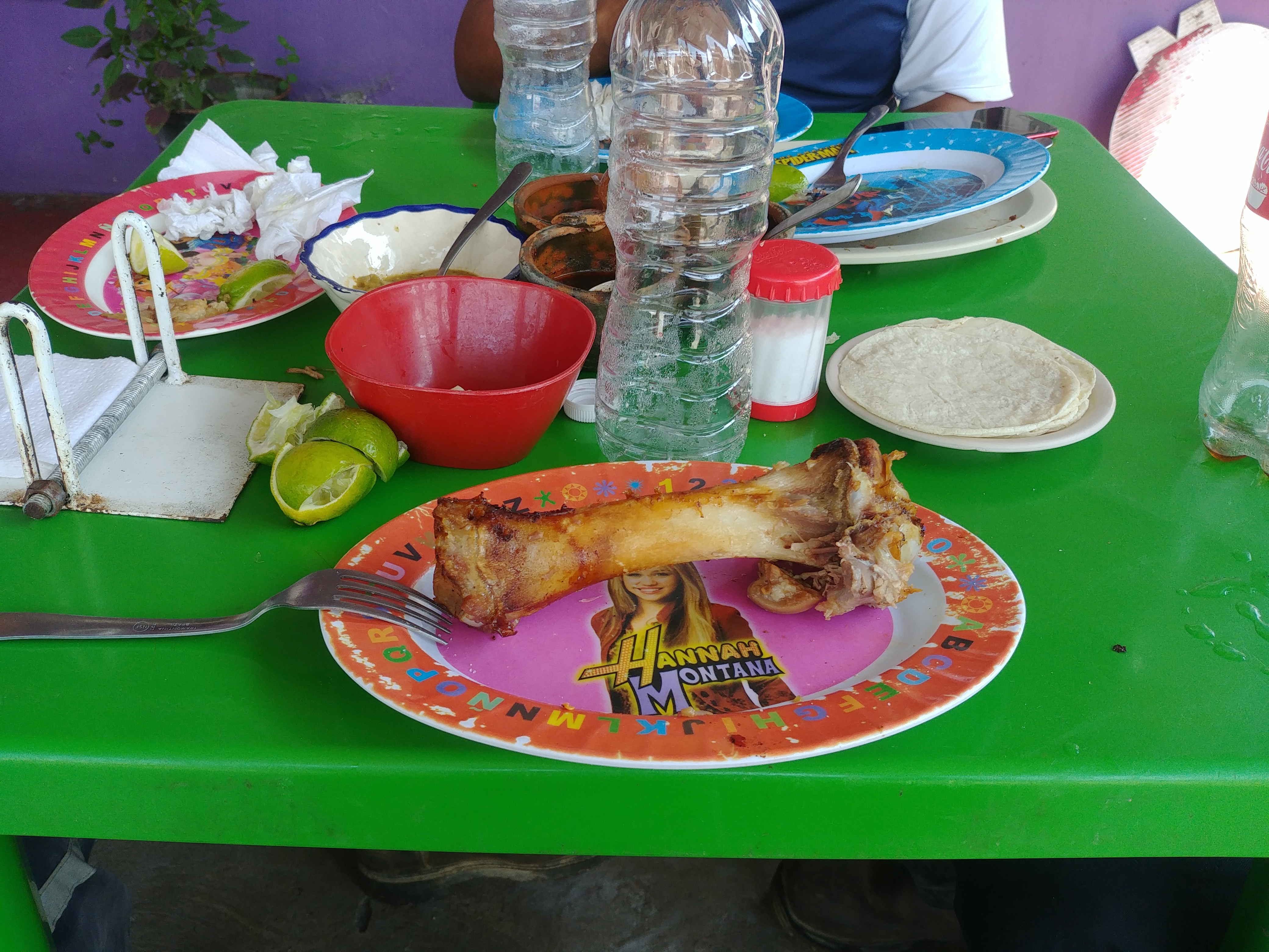 Carnitas Estilo Michoacanas y carnes asadas Don Jorge image 2