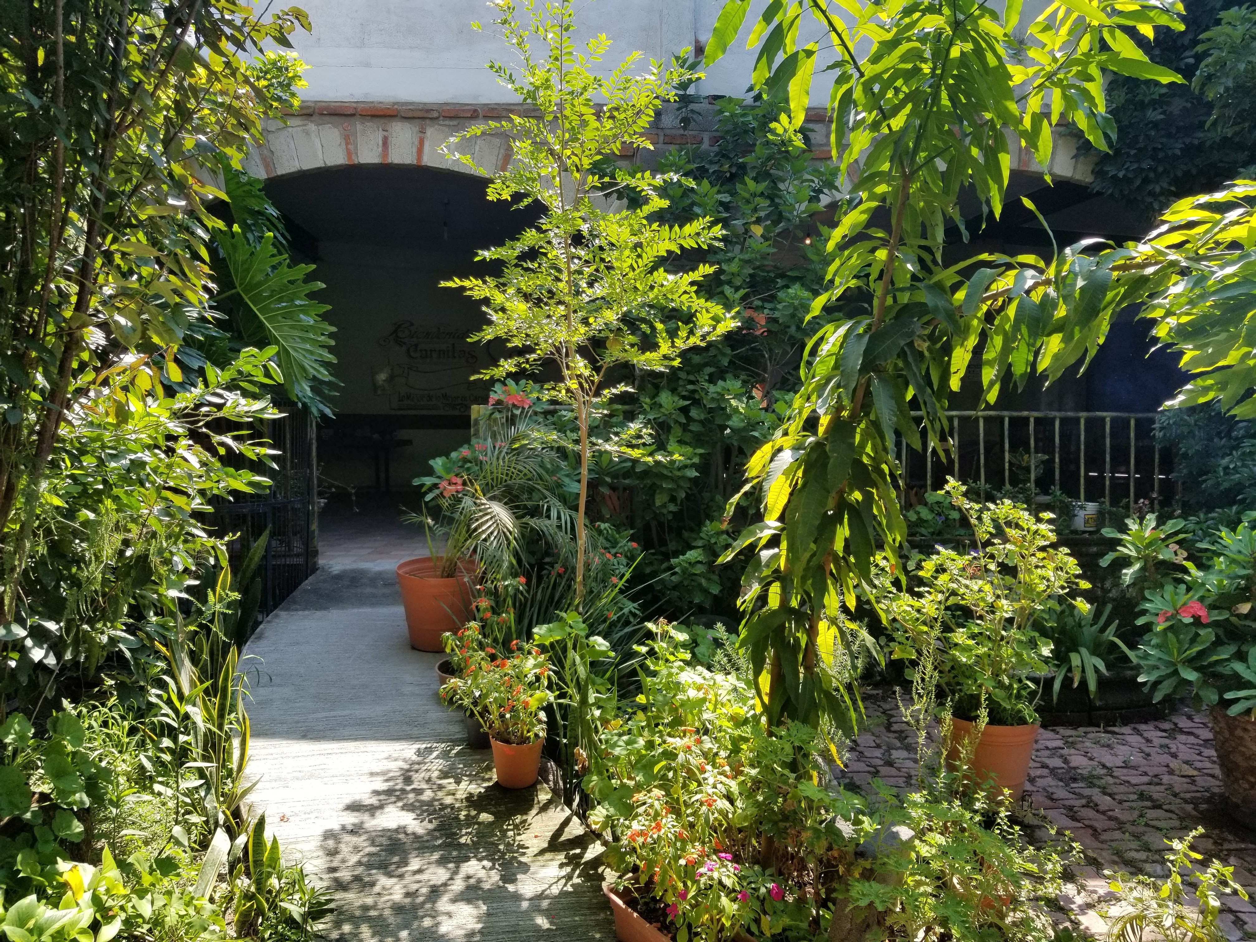El puerquito talachón image 3