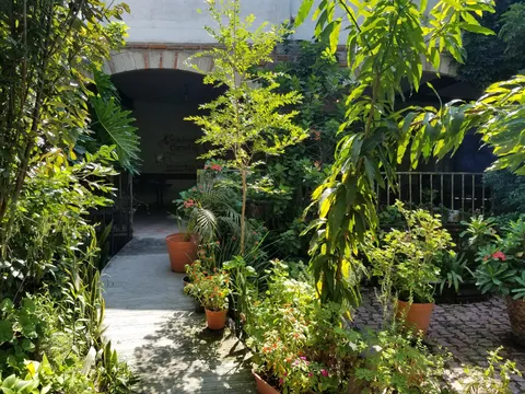 El puerquito talachón image 3