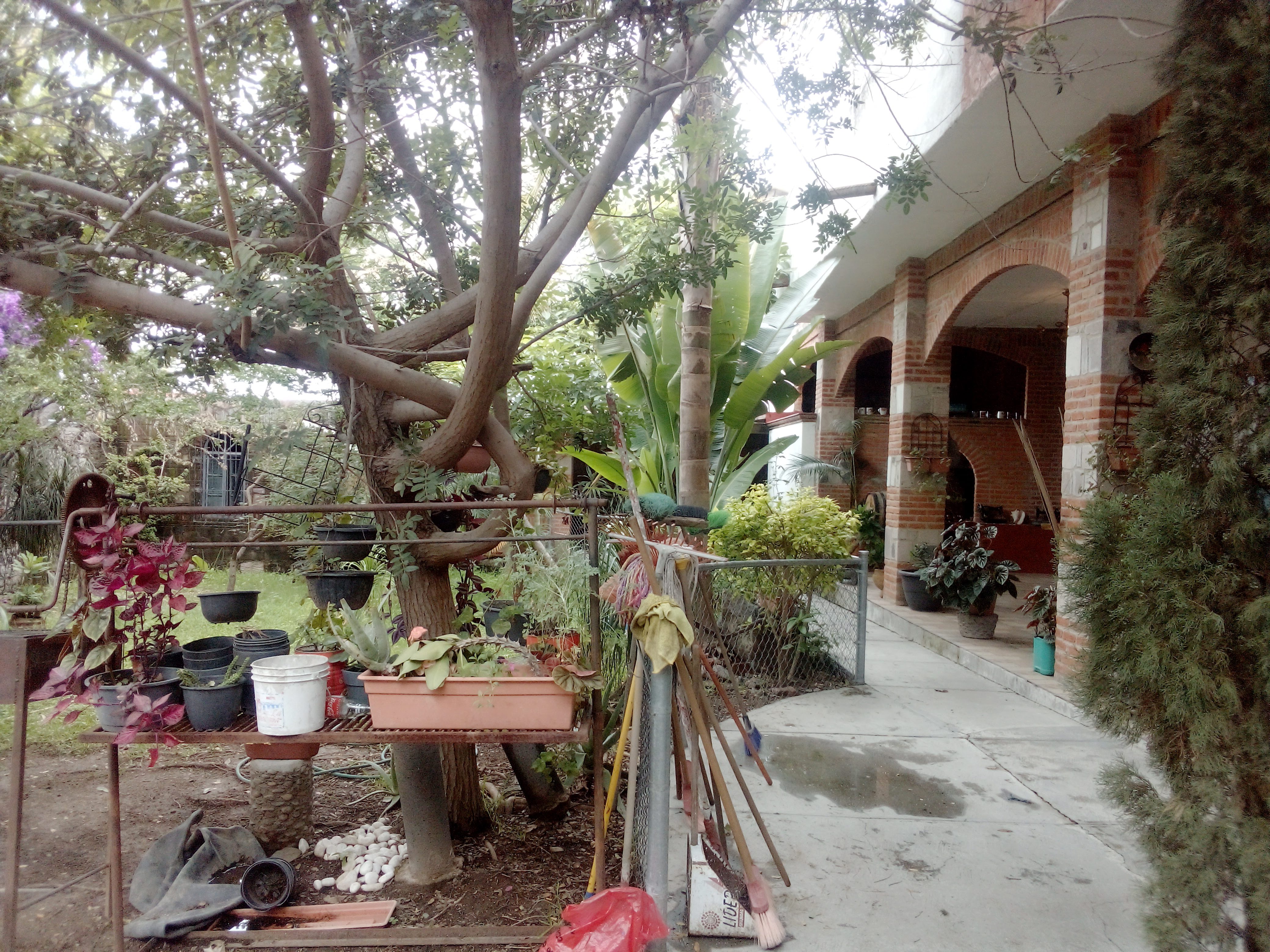 El puerquito talachón image 7
