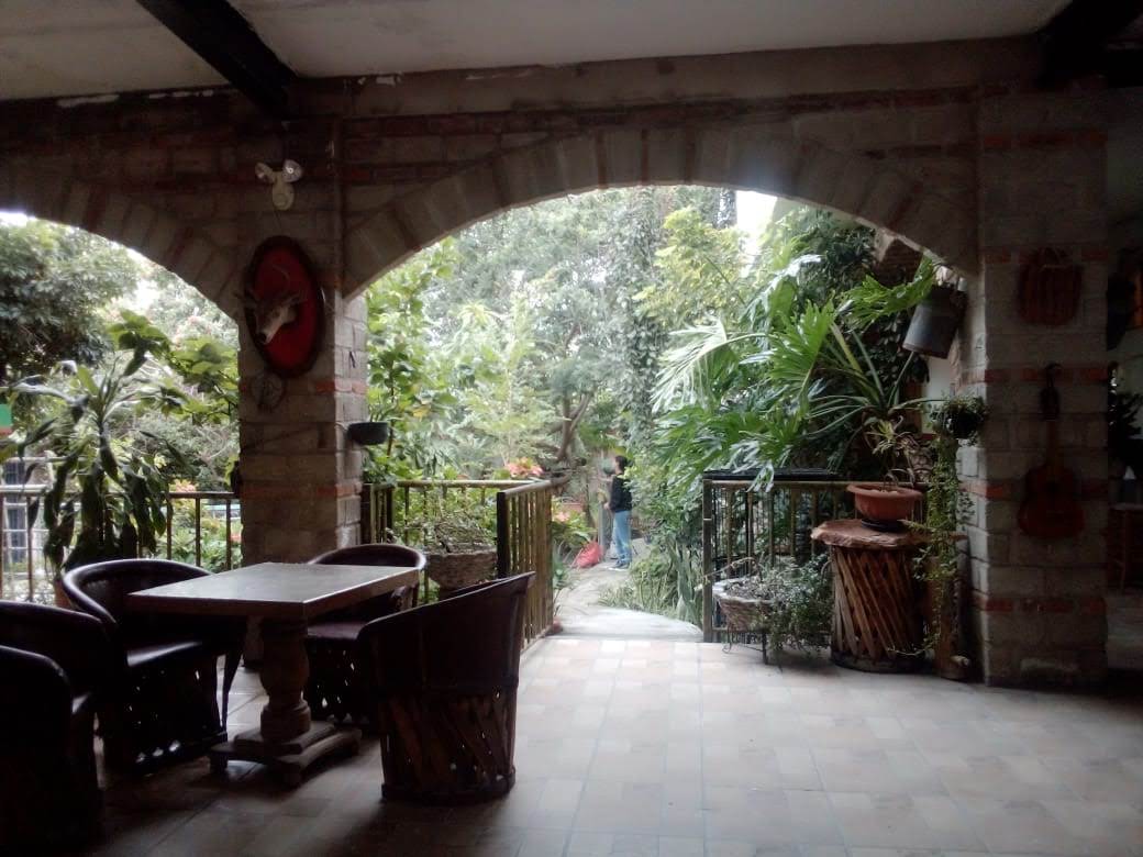 El puerquito talachón image 10
