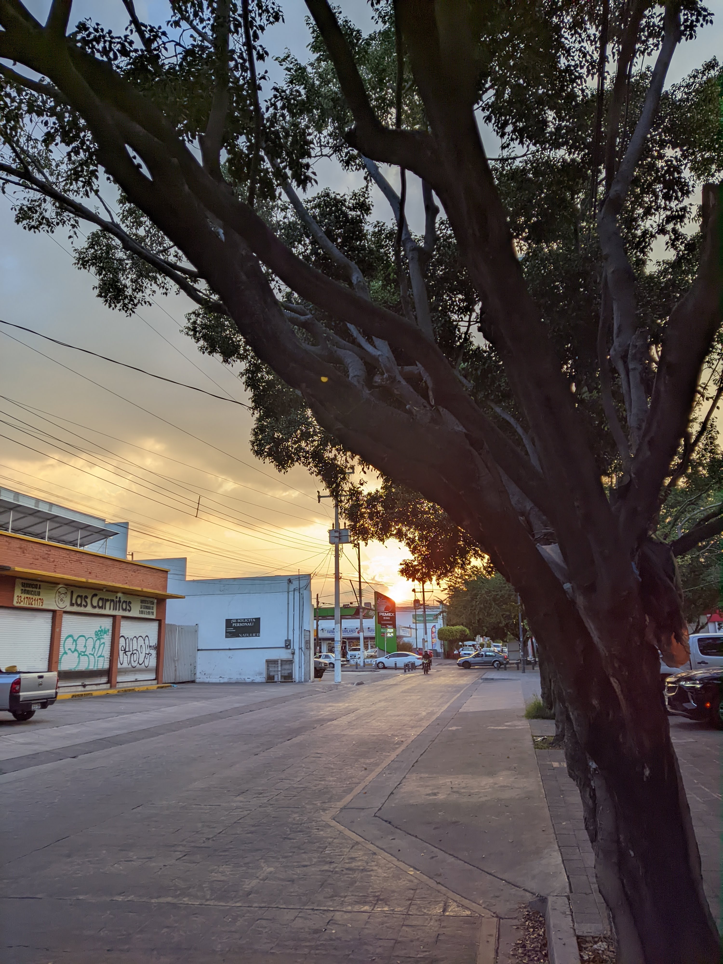 Las Carnitas suc. Laureles image 9