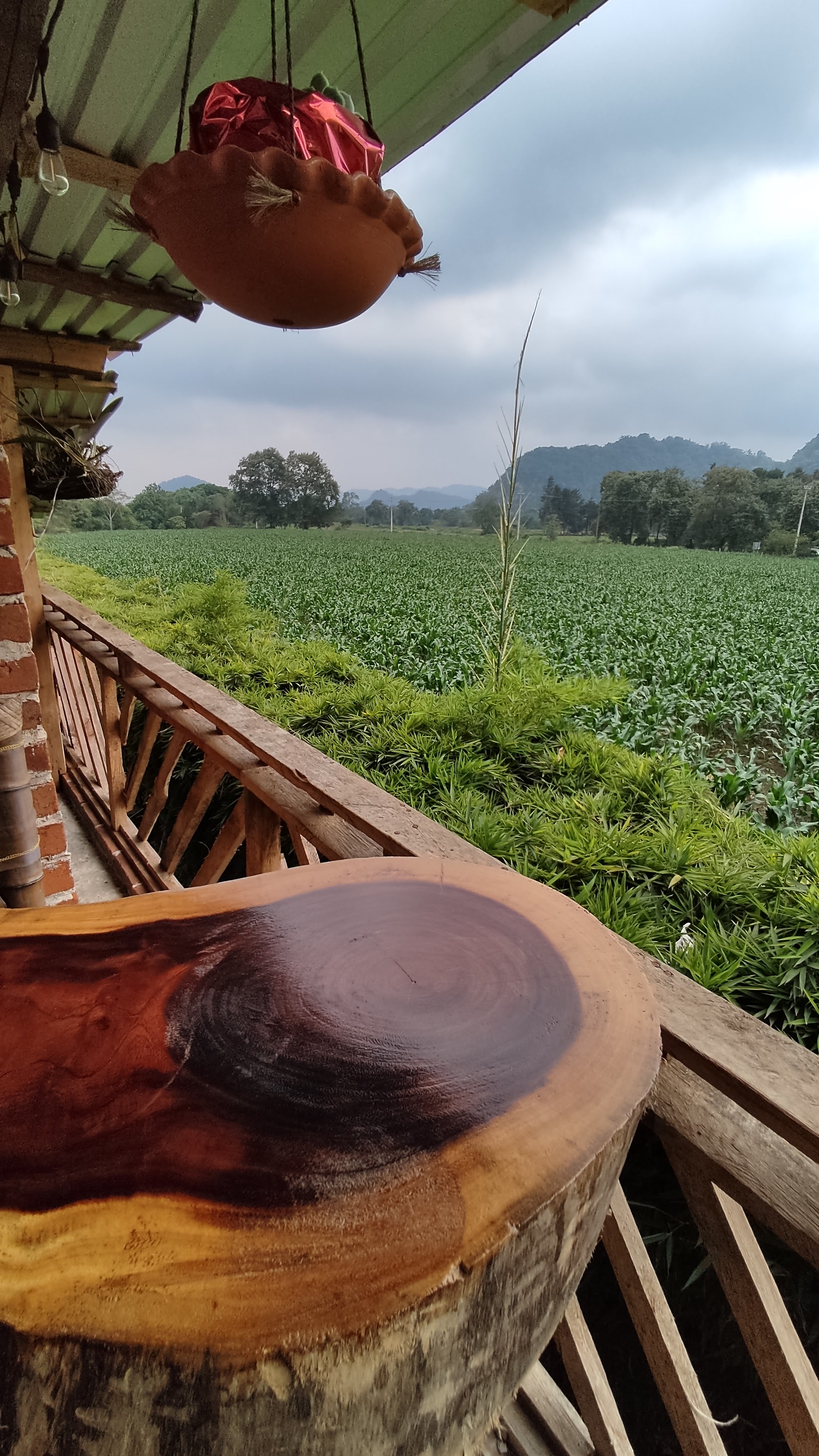 ASADERO BAMBU image 8