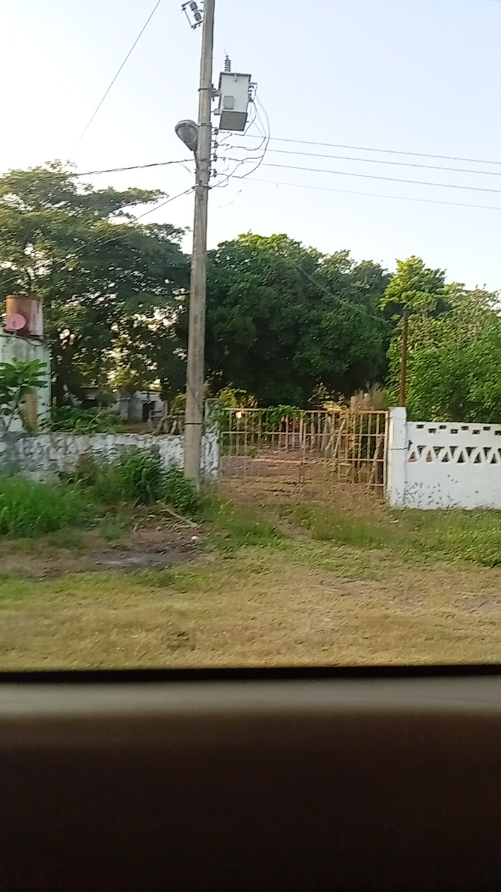 Antojitos Doña Nea image 2