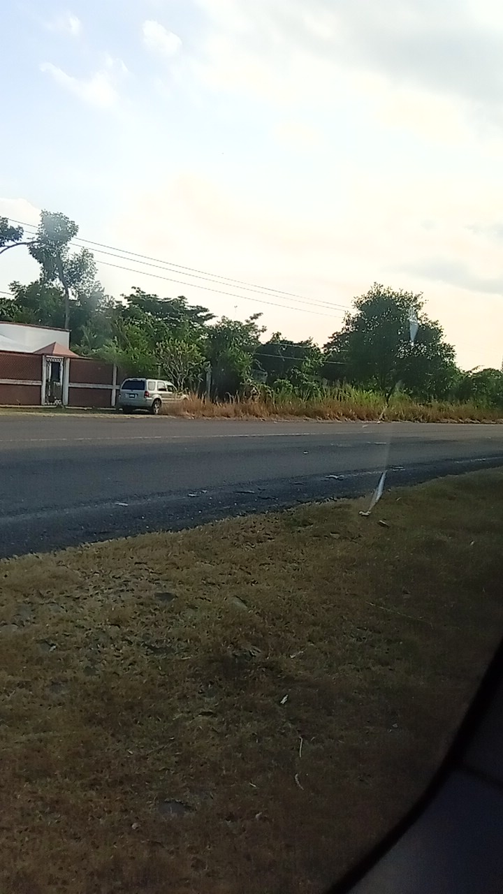 Antojitos Doña Nea image 5