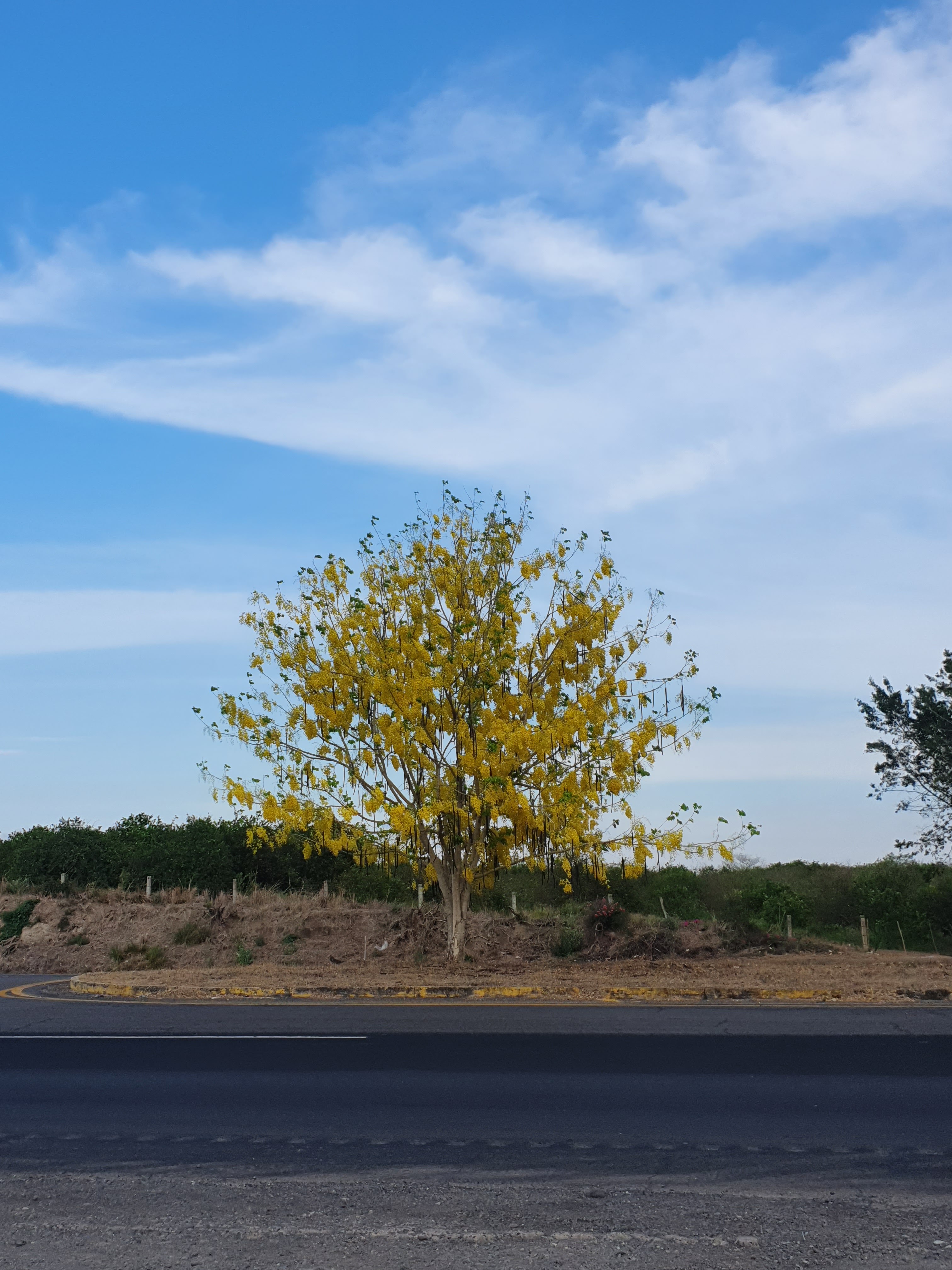 Fonda El Paraiso En El Retorno image 10