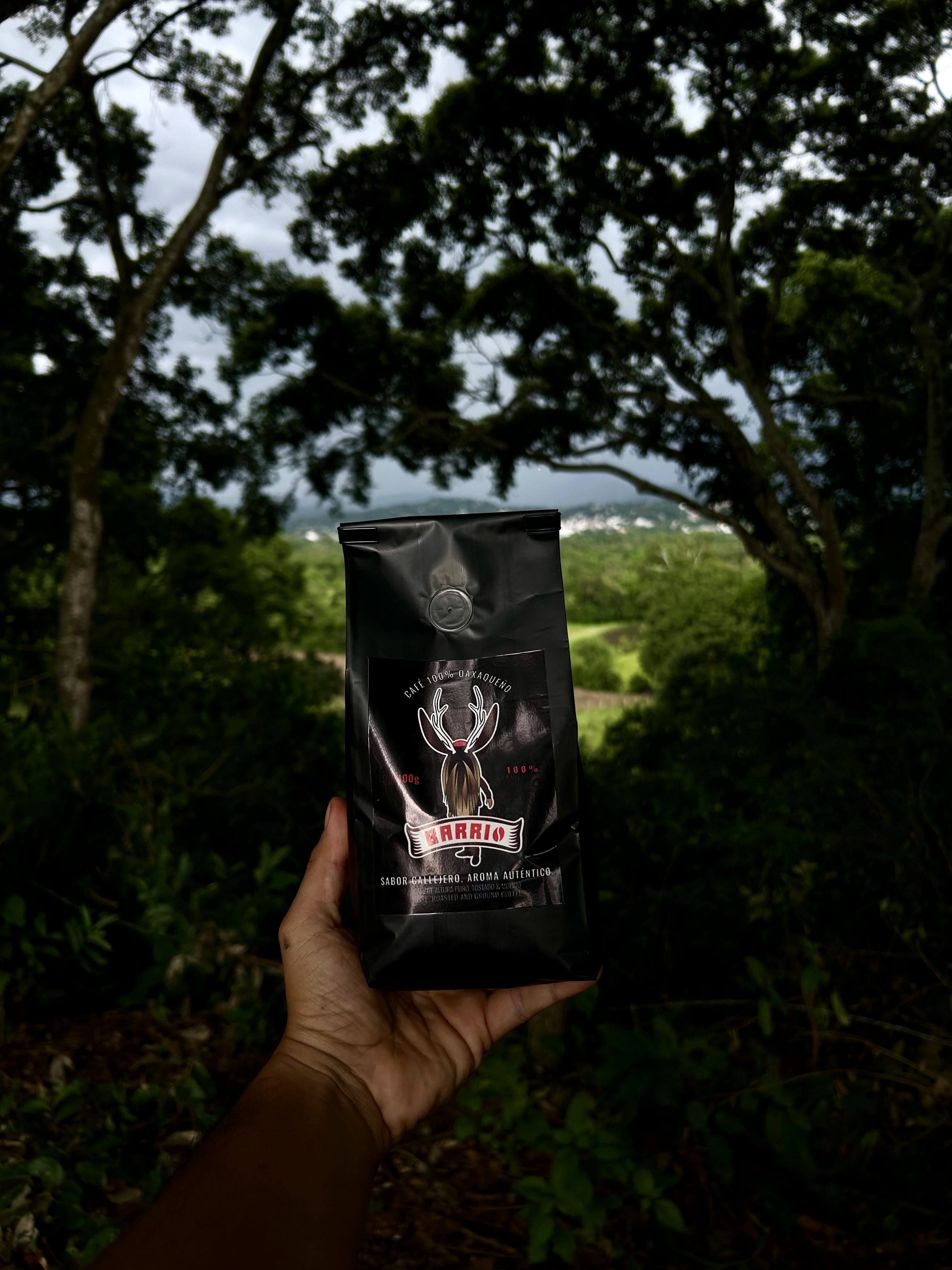 El Mirador Mendoza image 3