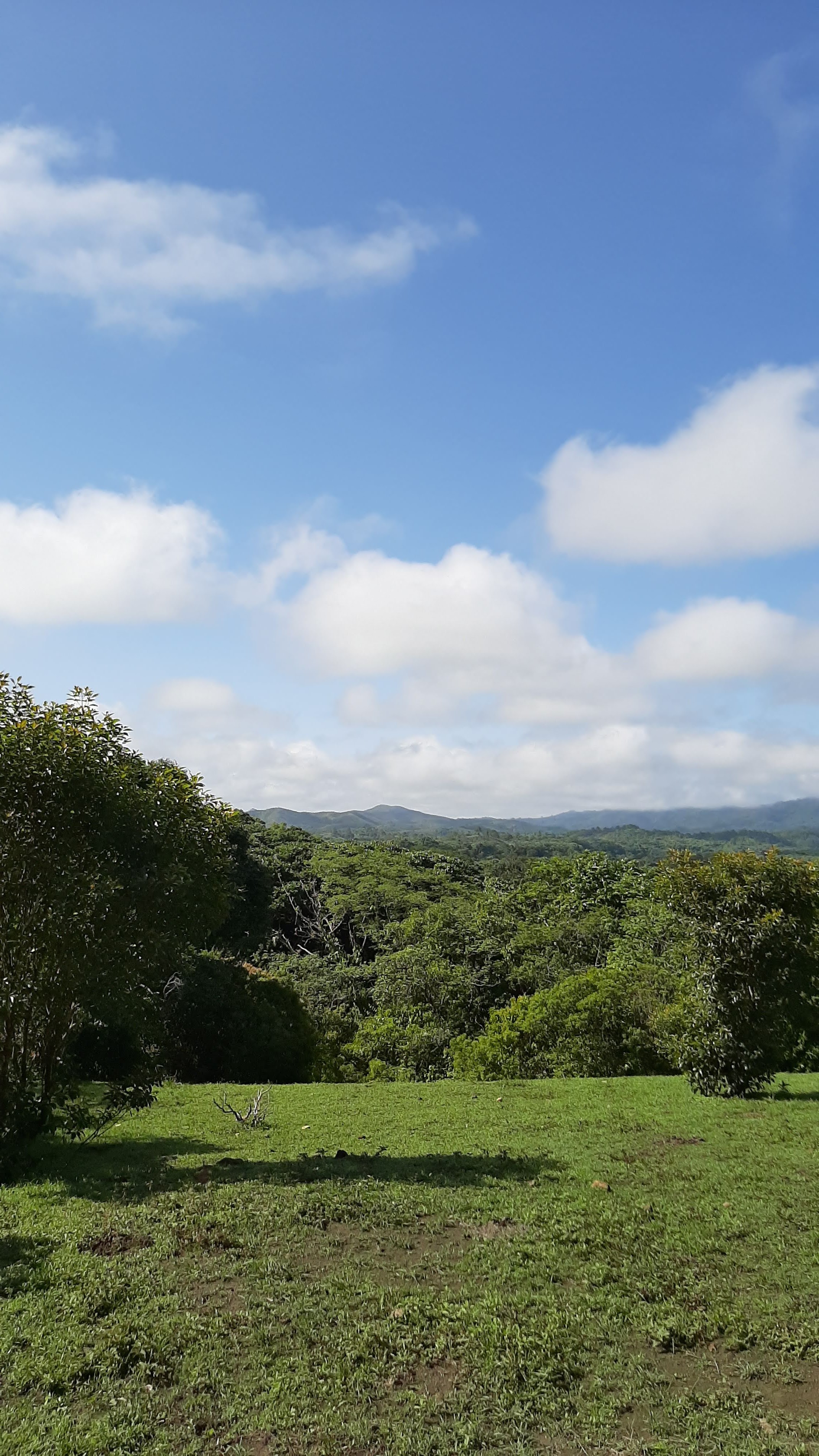 El Mirador Mendoza image 4