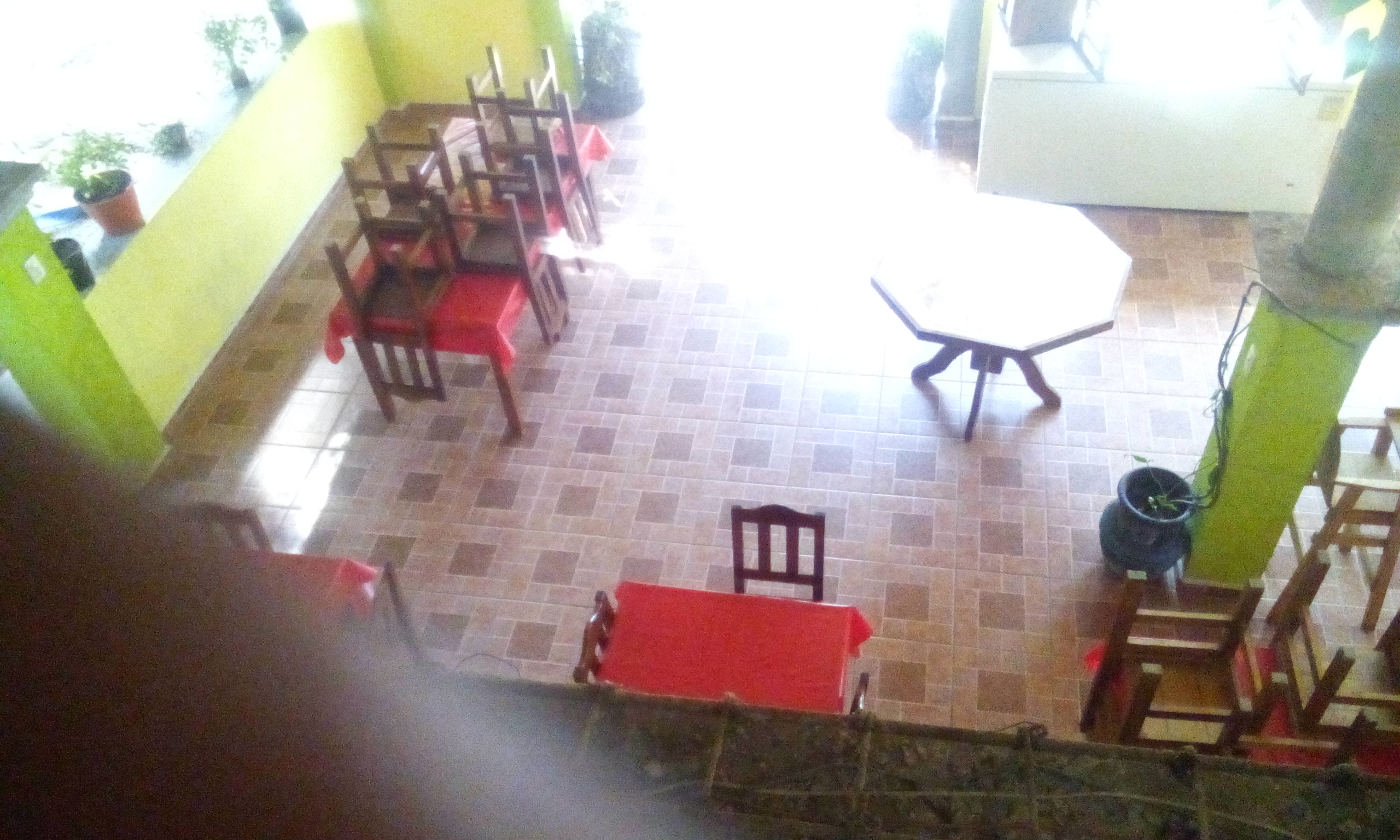 El Mundo Marino image 2