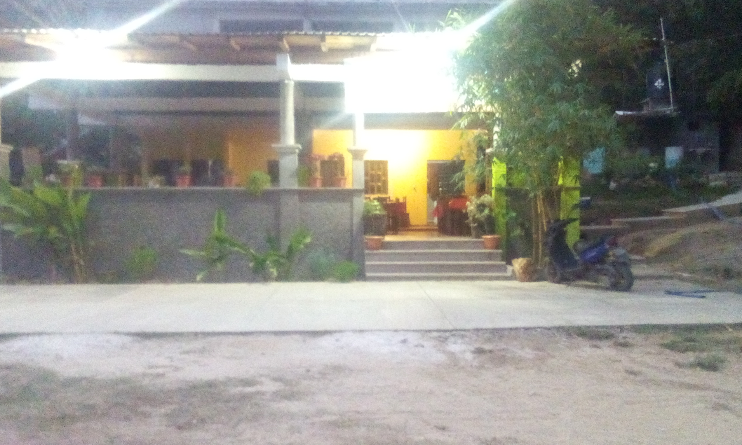 El Mundo Marino image 3