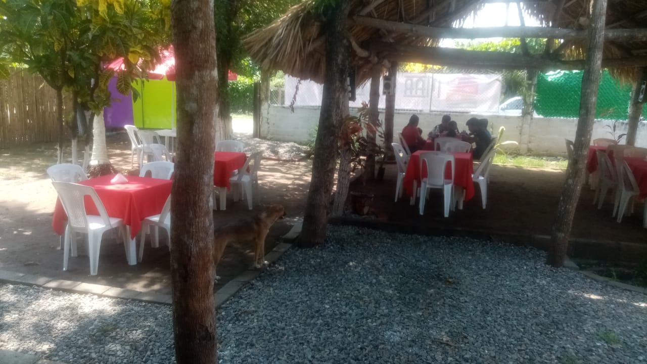 Restaurante Mar y Tierra image 2