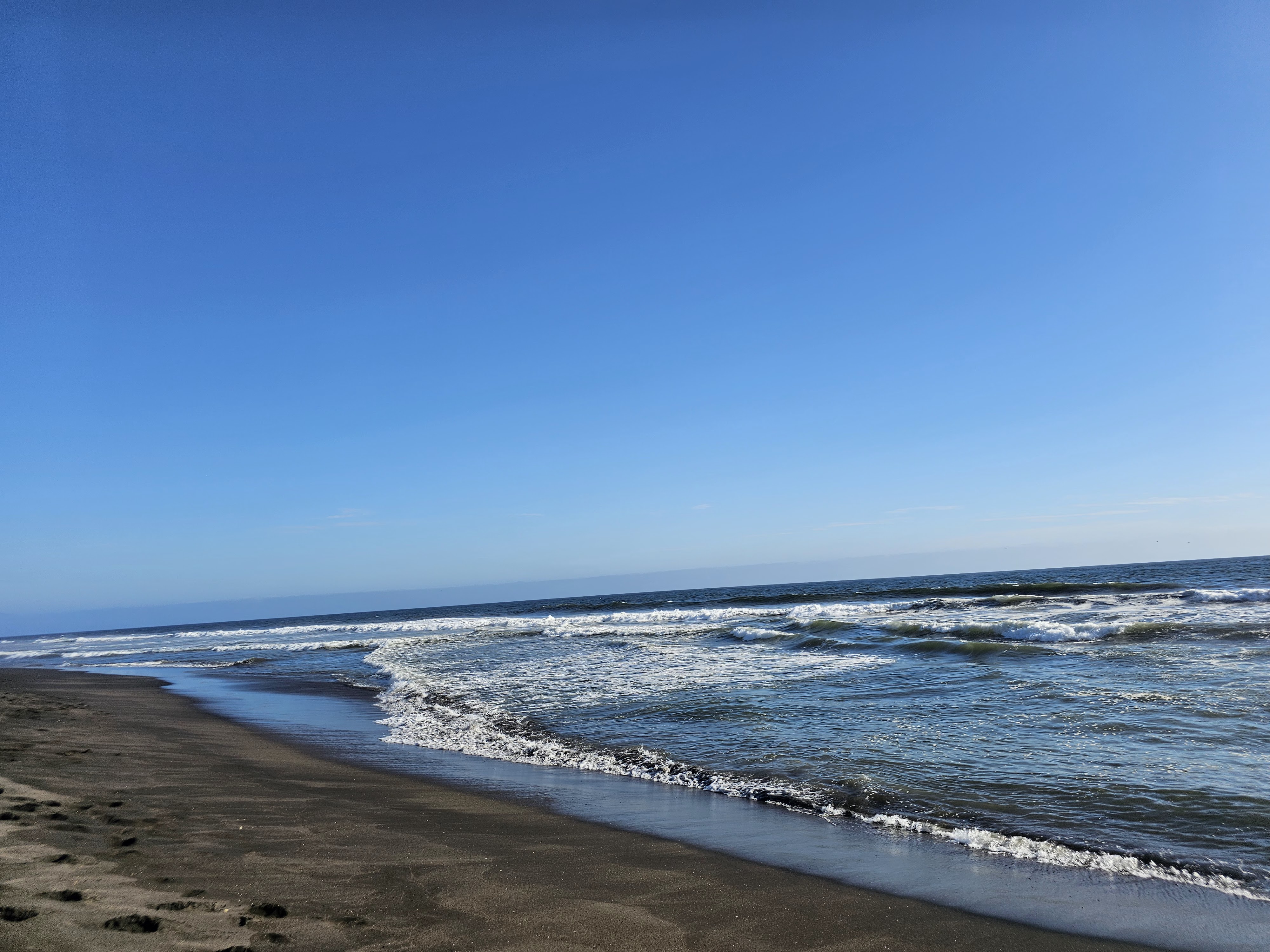 Mariscos chuy image 3