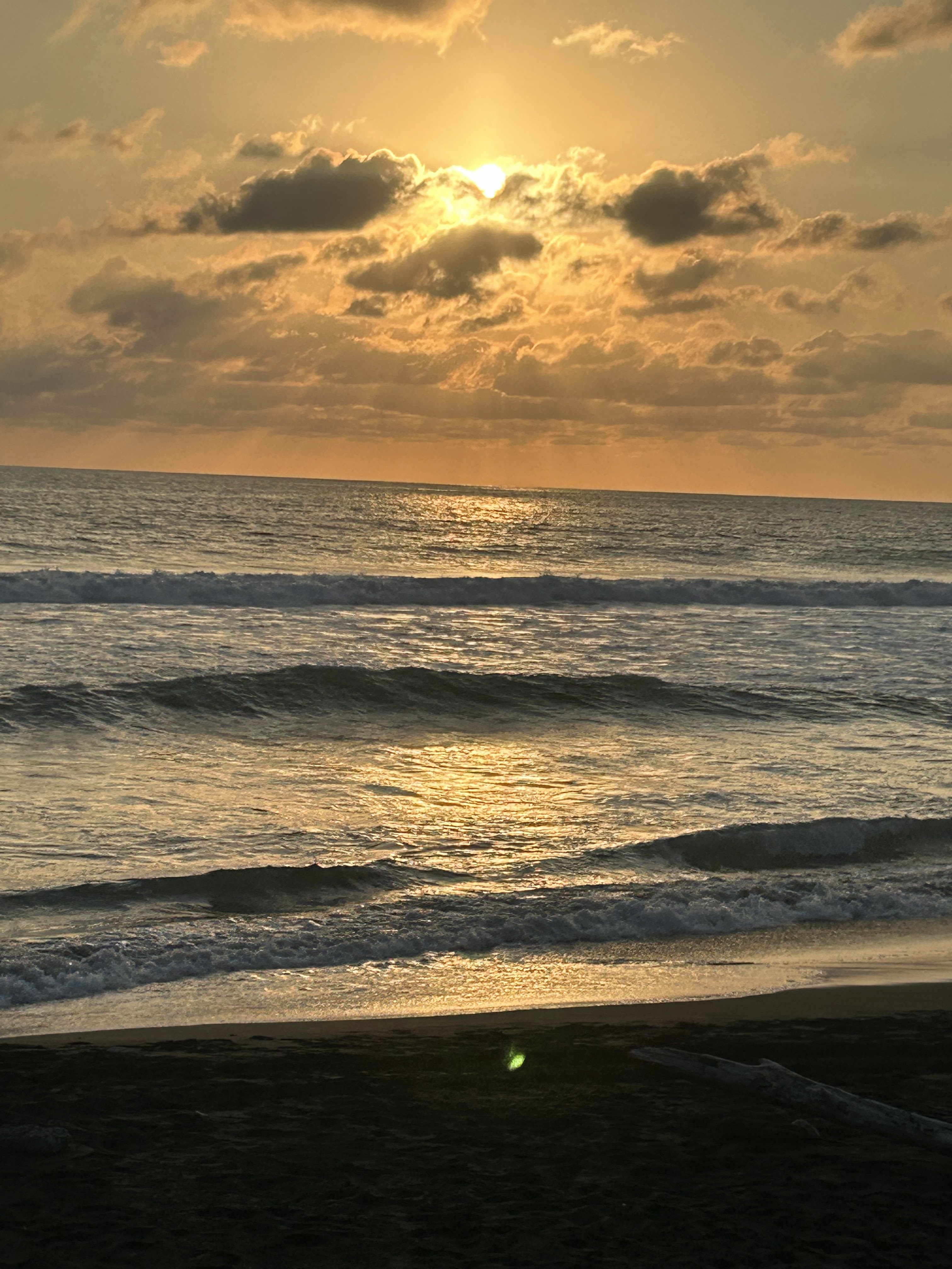 Mariscos chuy image 8