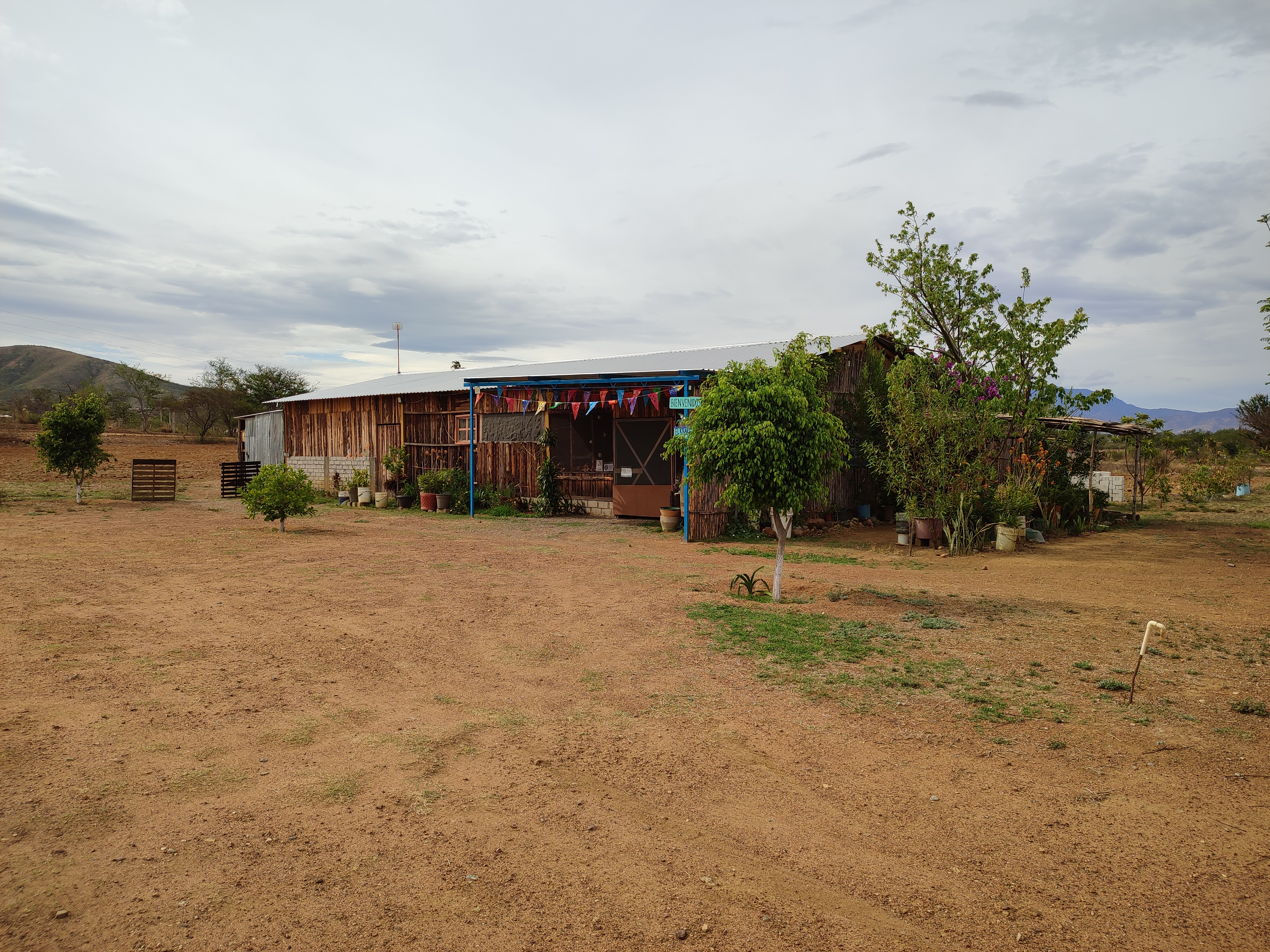 El Kraken Marisquería image 4