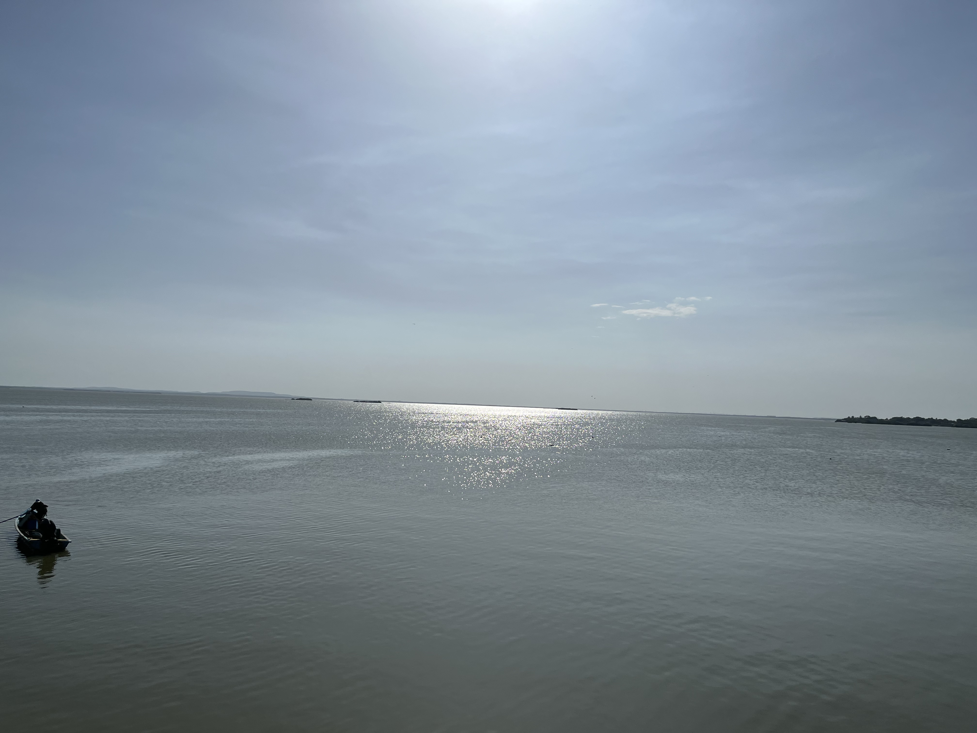 El Ostioncito (Restaurant-Bar) image 3