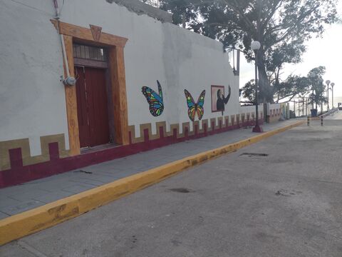 El Ostioncito (Restaurant-Bar) image 6