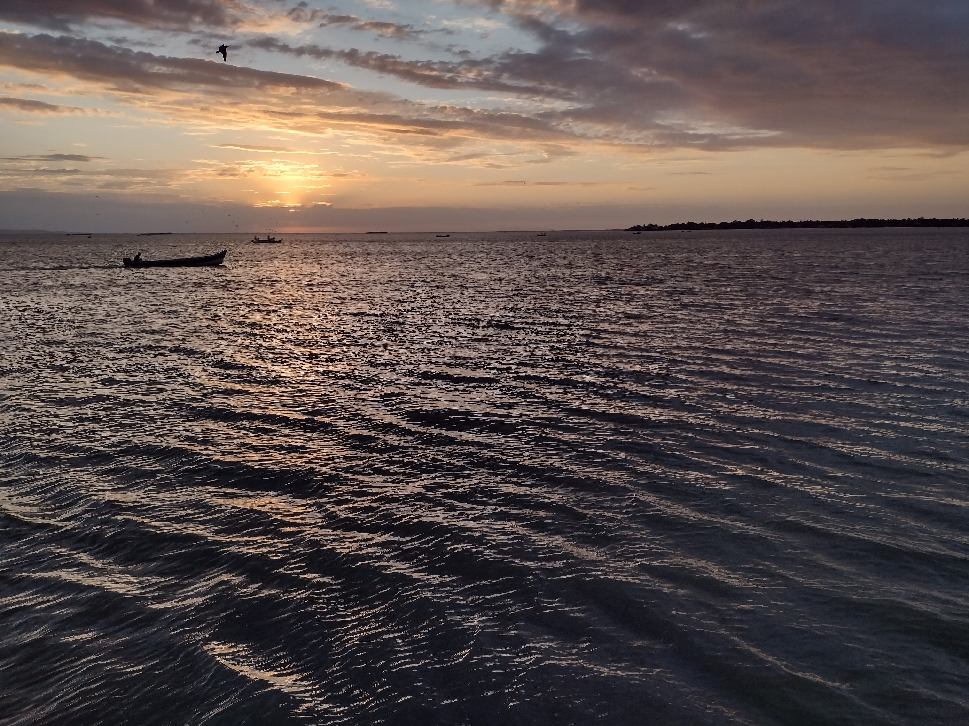 El Ostioncito (Restaurant-Bar) image 8