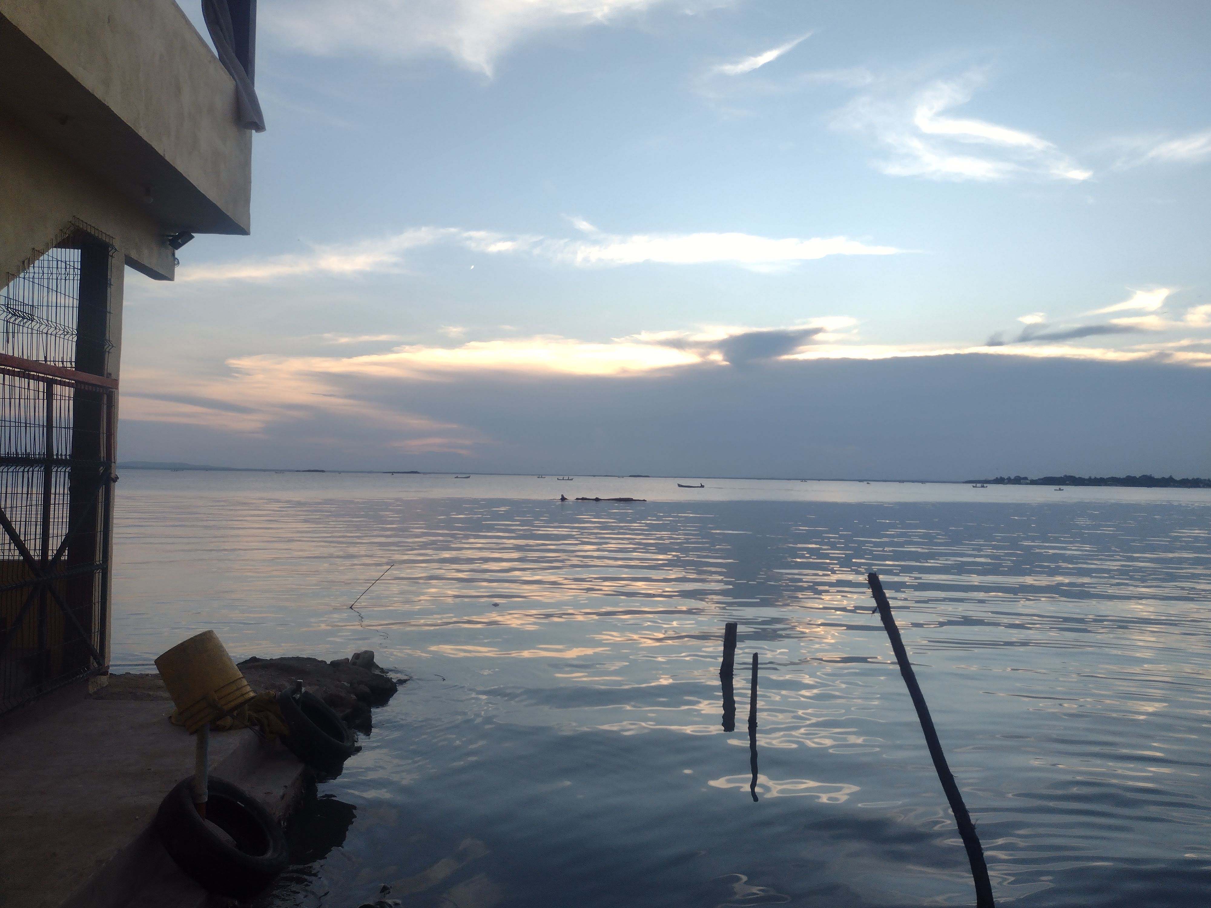 El Ostioncito (Restaurant-Bar) image 9