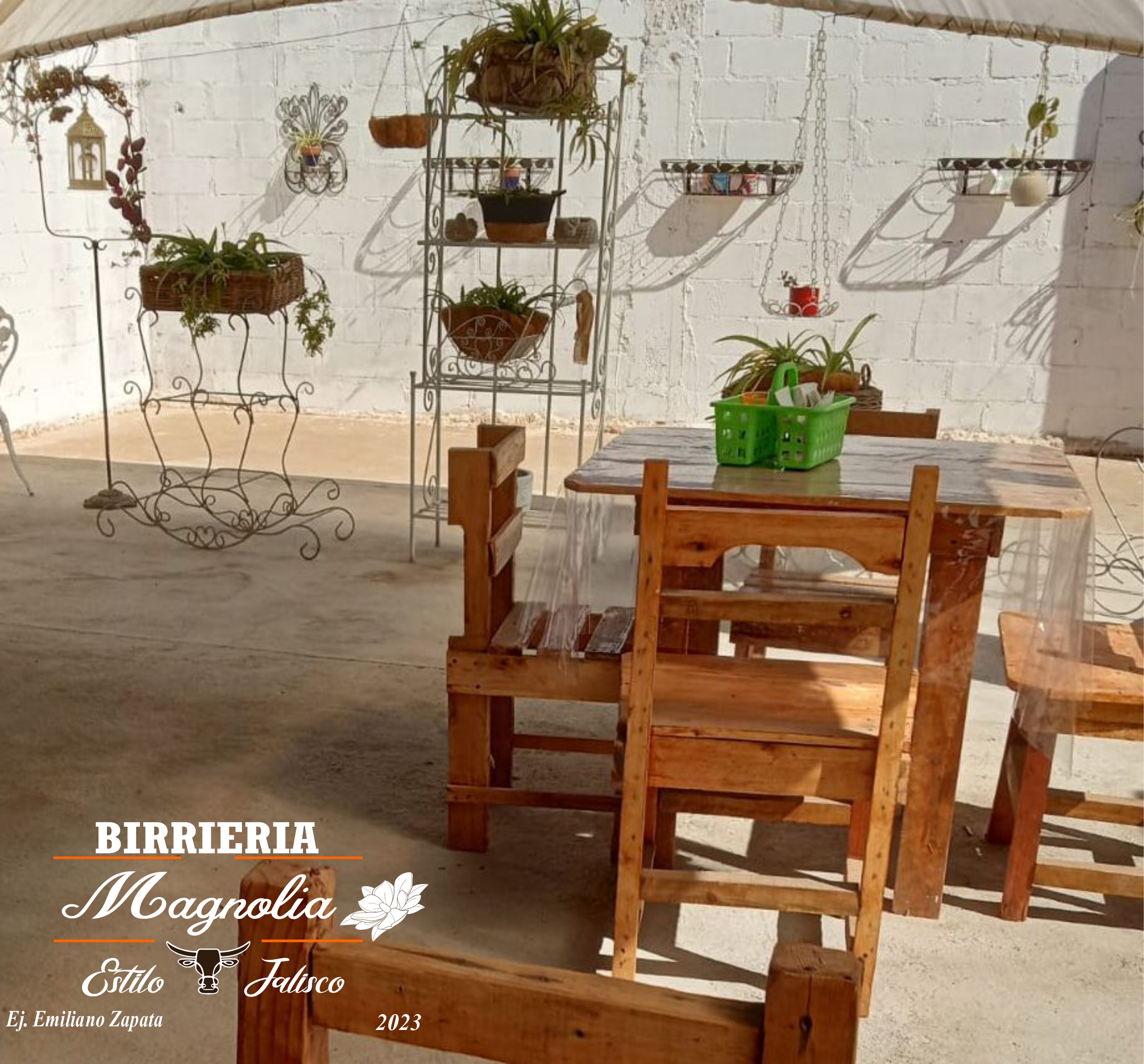 Birrieria Magnolia image 1