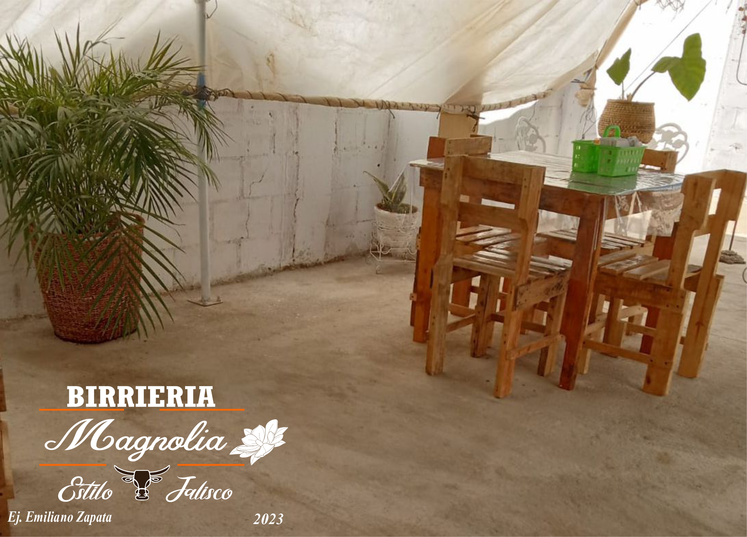 Birrieria Magnolia image 8