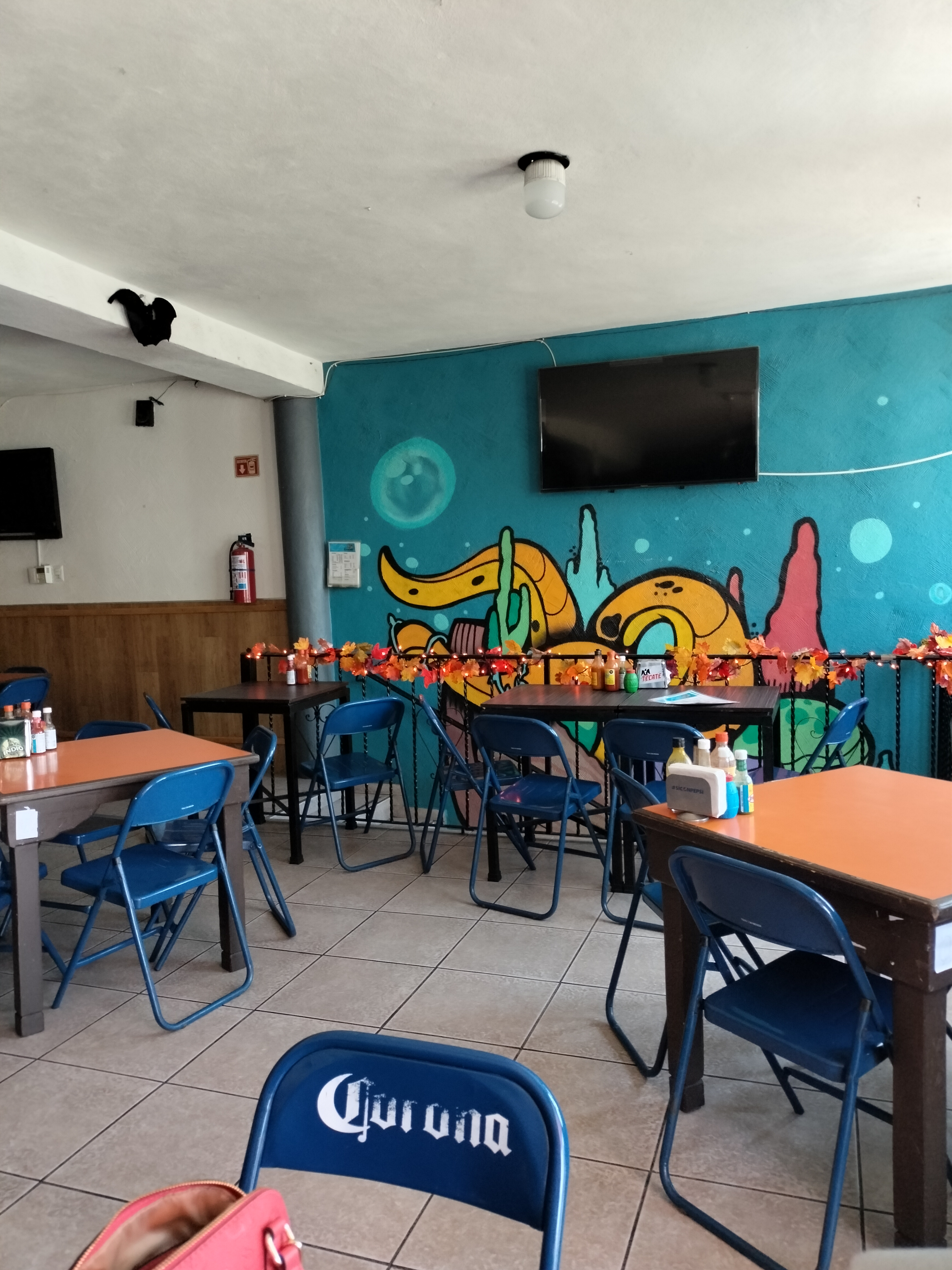 MARISCOS ALVARADO image 7