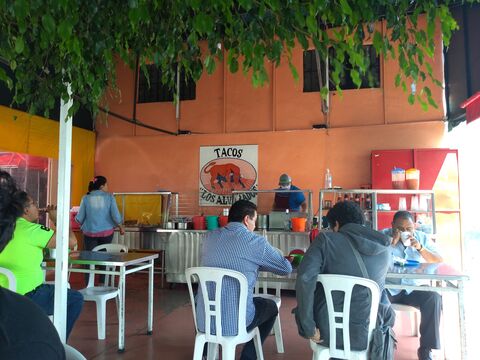 MARISCOS ALVARADO image 8