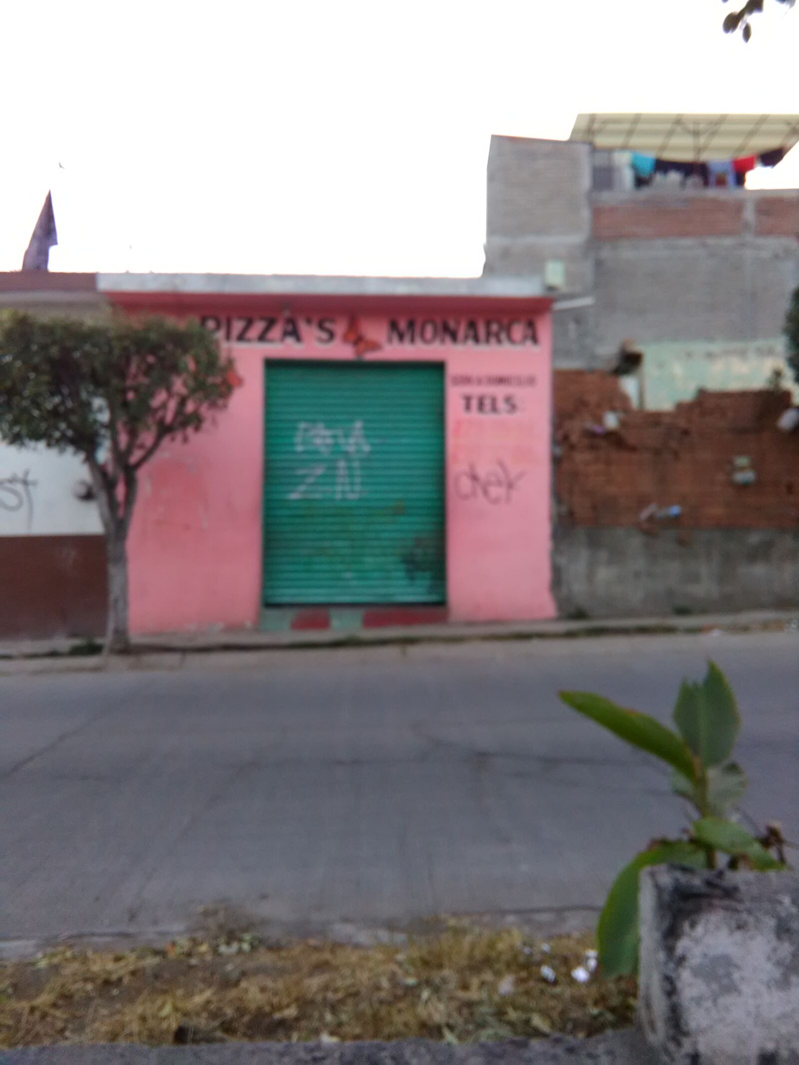 Pizzas Monarcas image 5