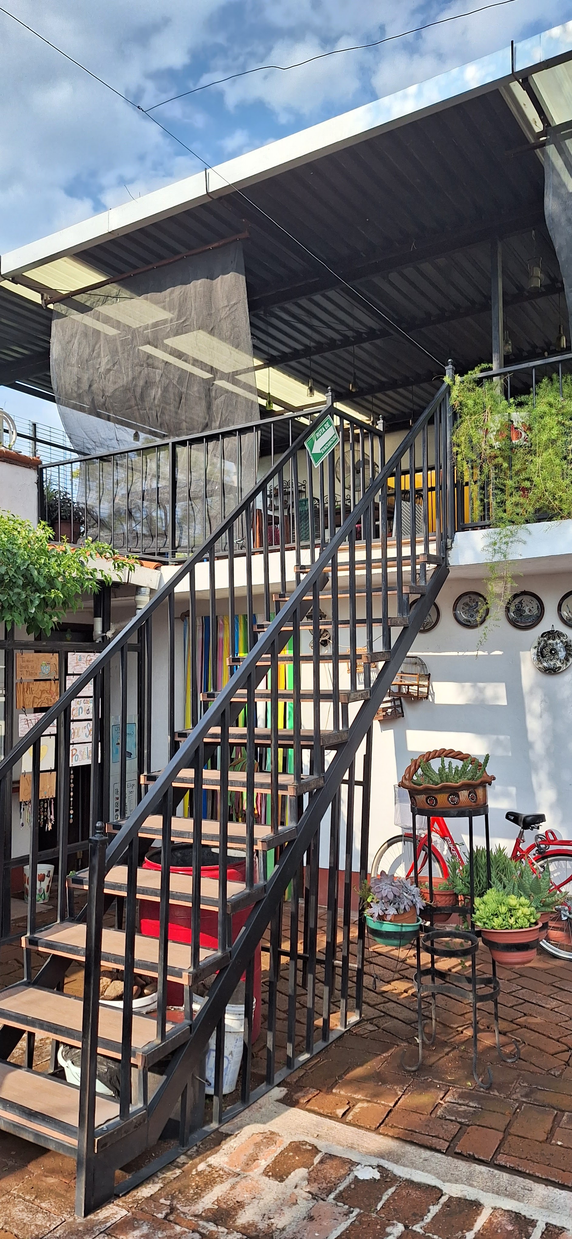 La Tertulia De Las Ranas image 3