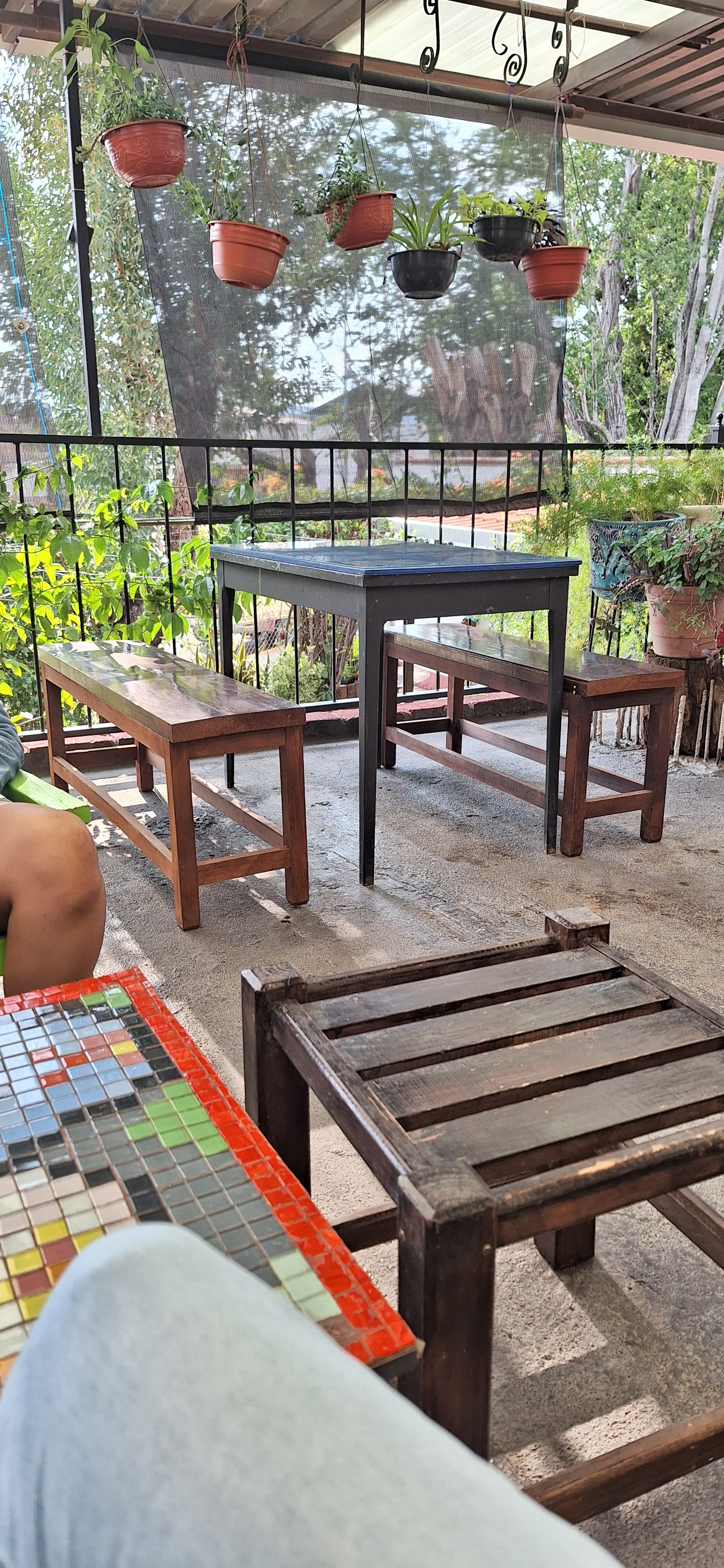 La Tertulia De Las Ranas image 4