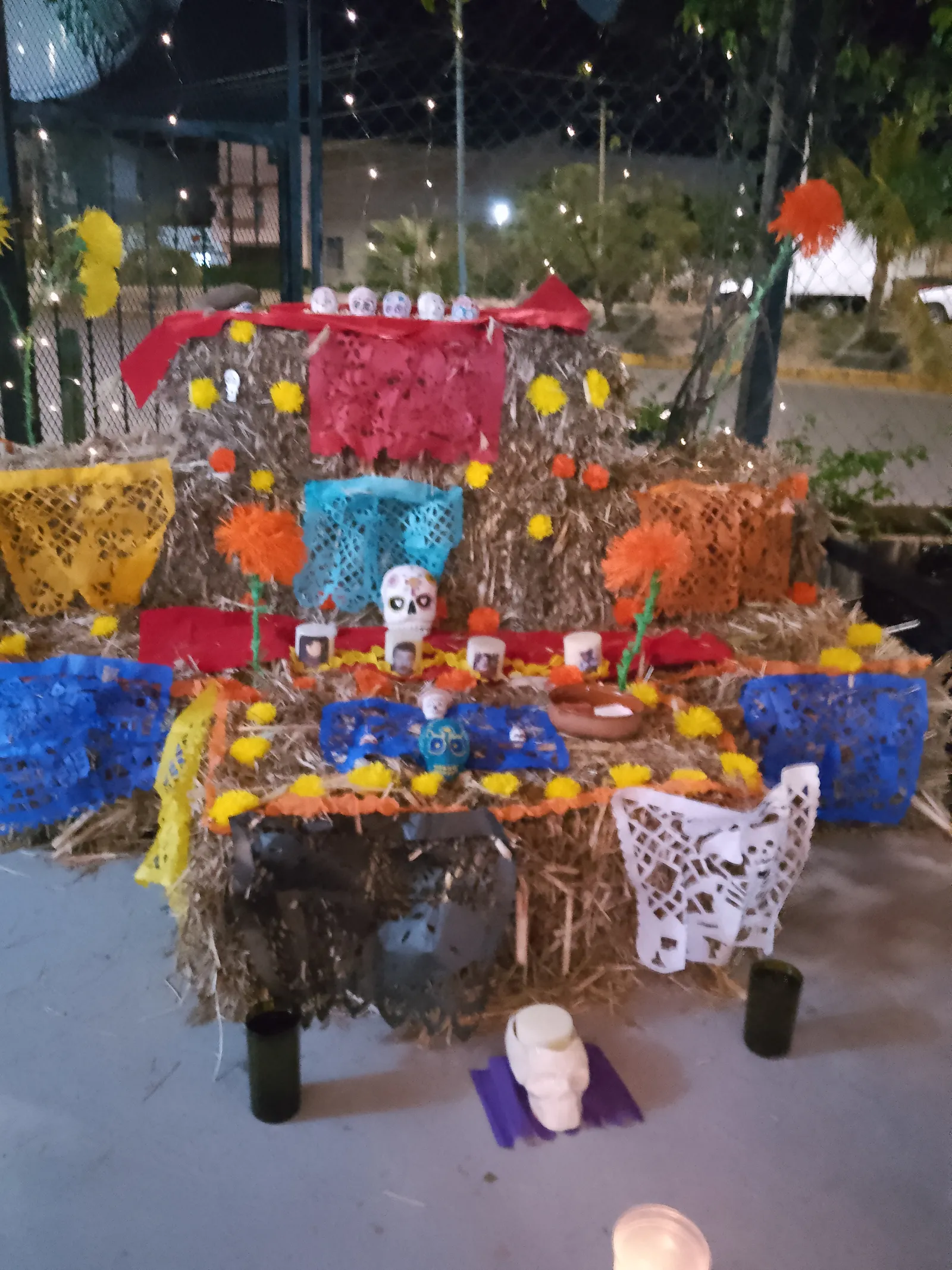 La Tertulia De Las Ranas image 6