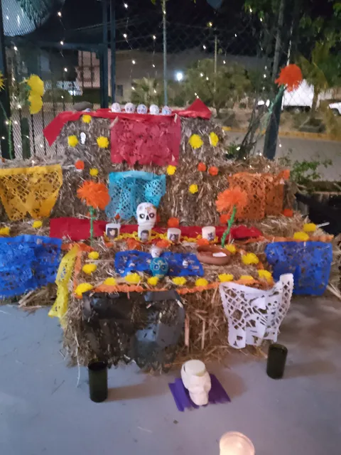 La Tertulia De Las Ranas image 6