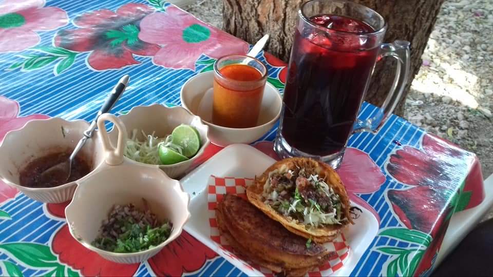 Birria Campestre image 1