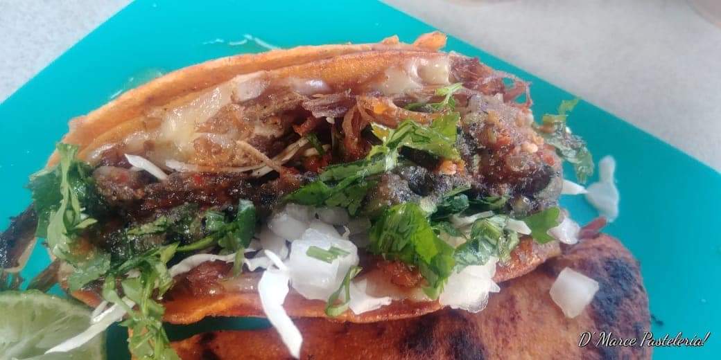 Birria Campestre image 8